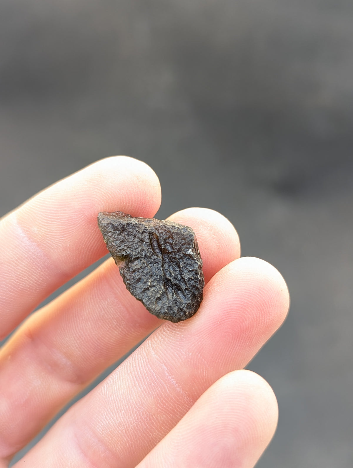 Moravian Moldavite – Skryje | 4.53 g | Collector-Grade Specimen
