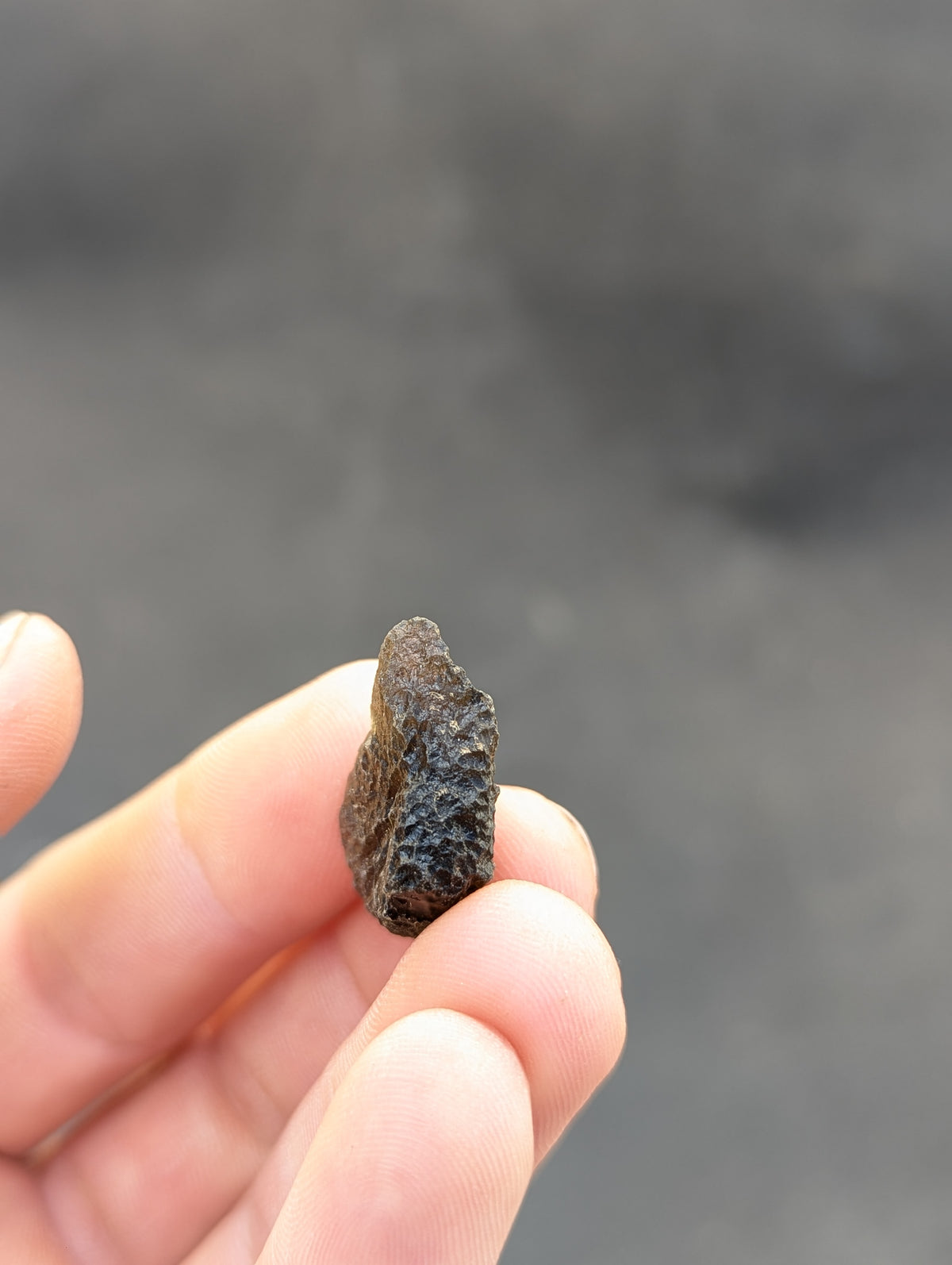 Moravian Moldavite – Skryje | 4.53 g | Collector-Grade Specimen