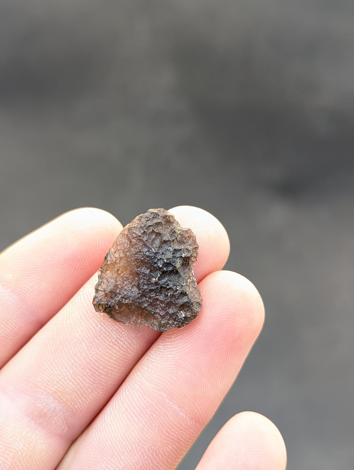 Moravian Moldavite – Slavětice | 2.45 g | Heart-Shaped Collector Specimen