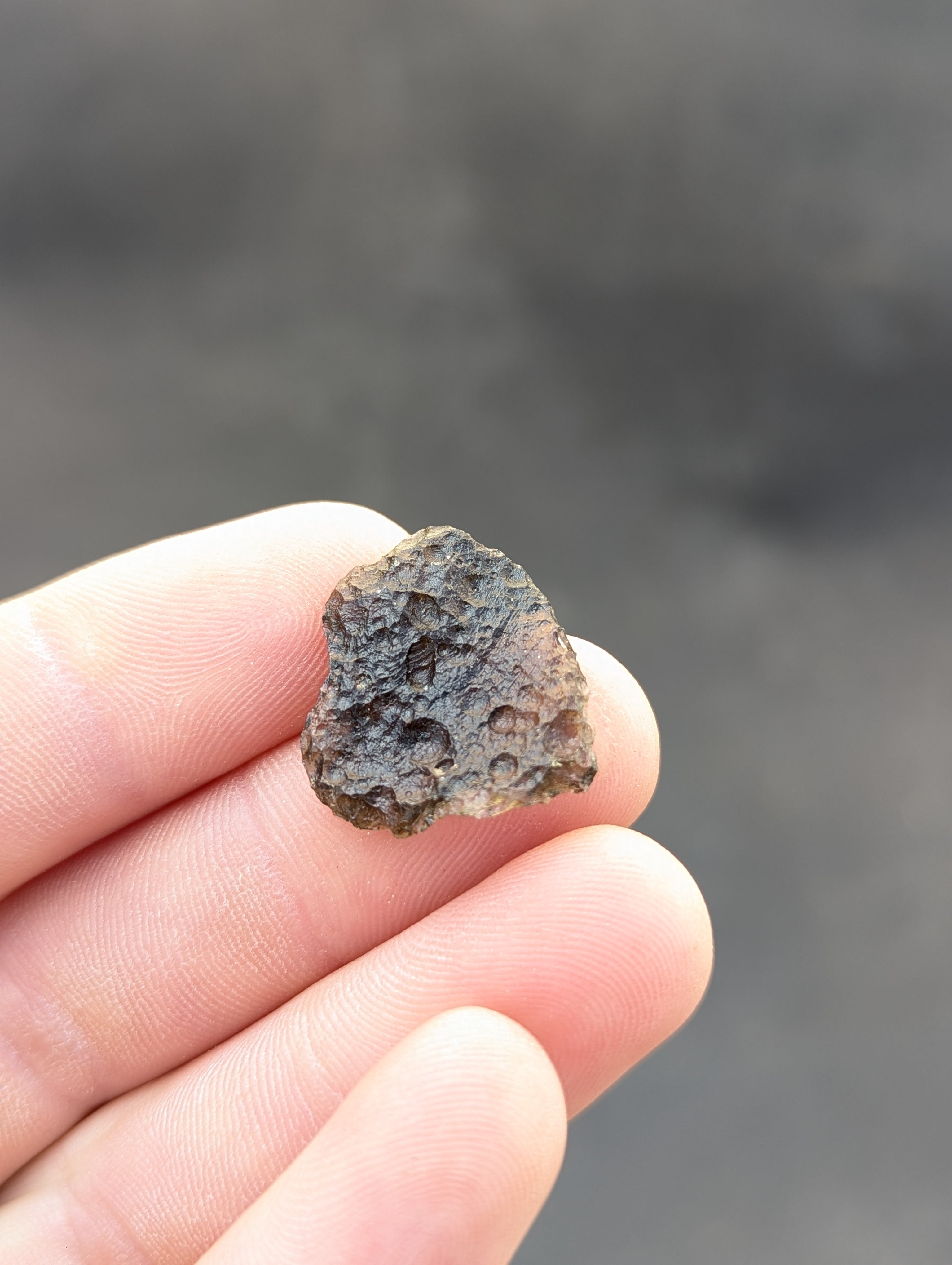 Moravian Moldavite – Slavětice | 2.45 g | Heart-Shaped Collector Specimen