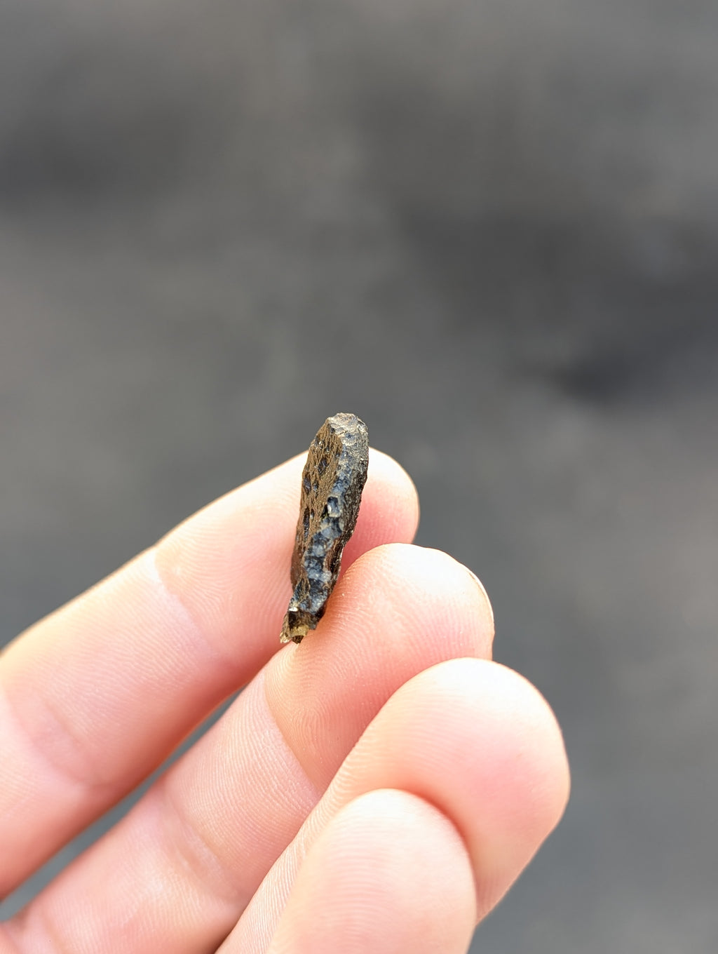 Moravian Moldavite – Slavětice | 2.45 g | Heart-Shaped Collector Specimen