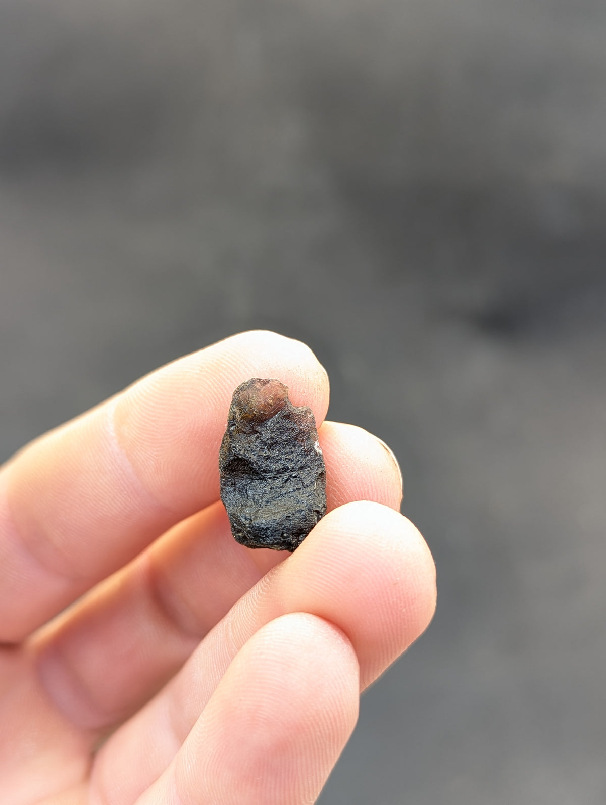 Moravian Moldavite – Slavětice | 2.47 g | Collector-Grade Specimen