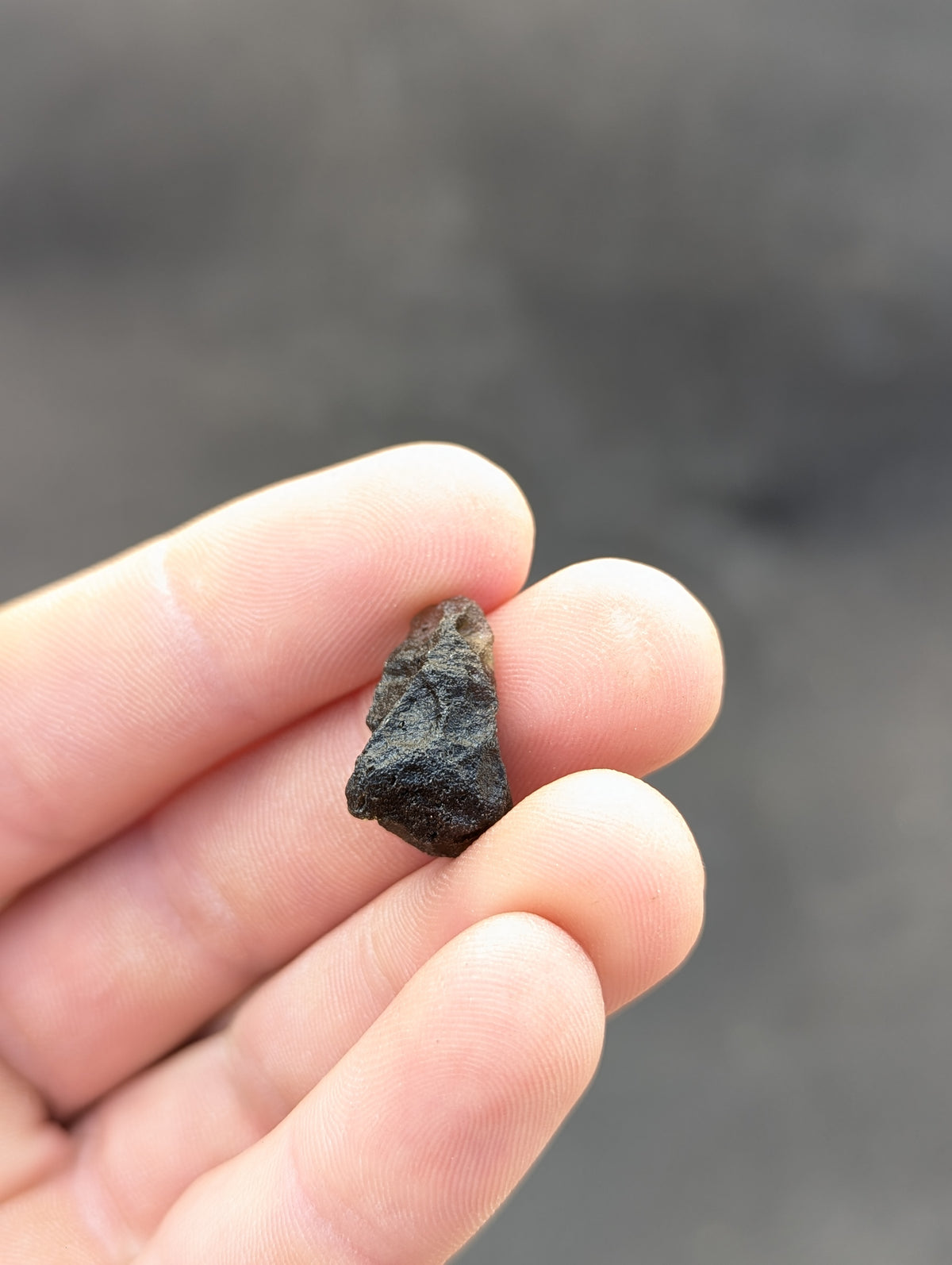 Moravian Moldavite – Slavětice | 2.47 g | Collector-Grade Specimen