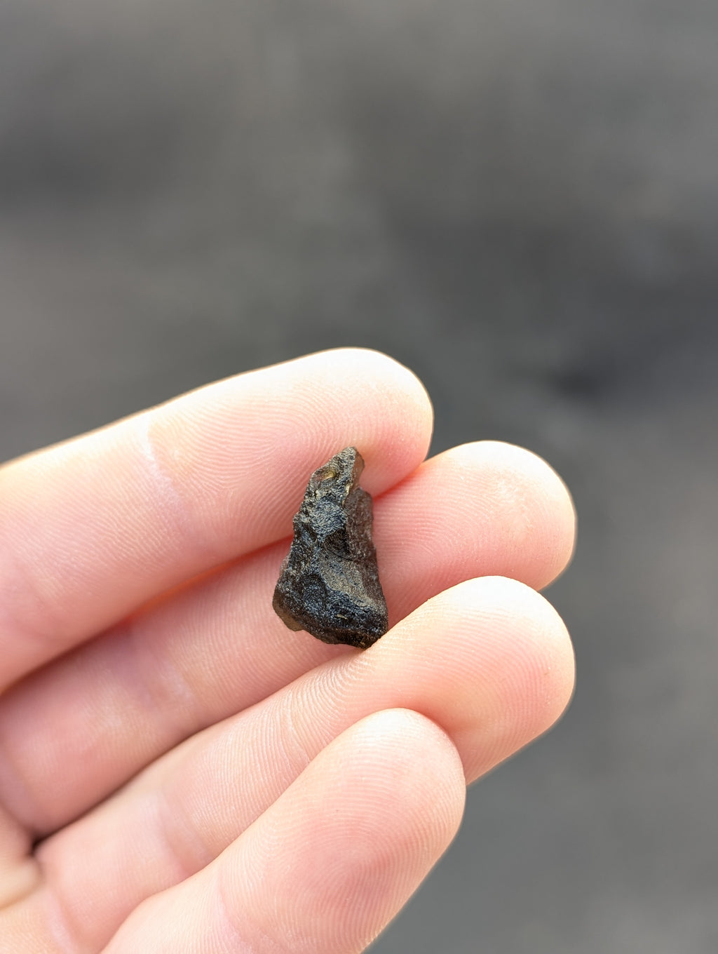 Moravian Moldavite – Slavětice | 2.47 g | Collector-Grade Specimen