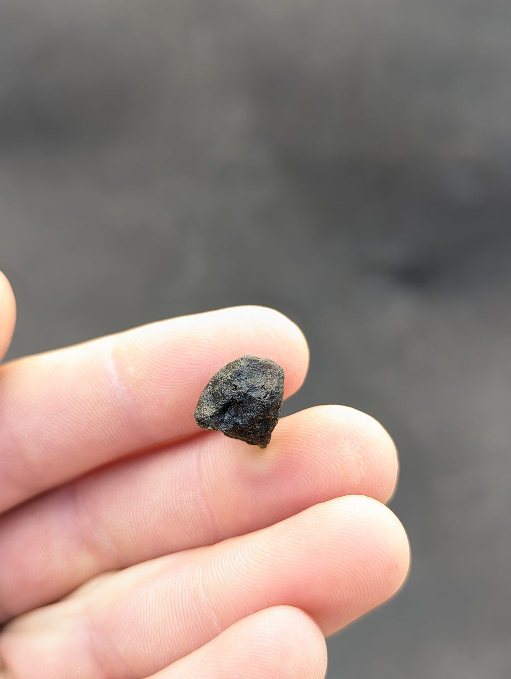 Moravian Moldavite – Slavětice | 2.47 g | Collector-Grade Specimen