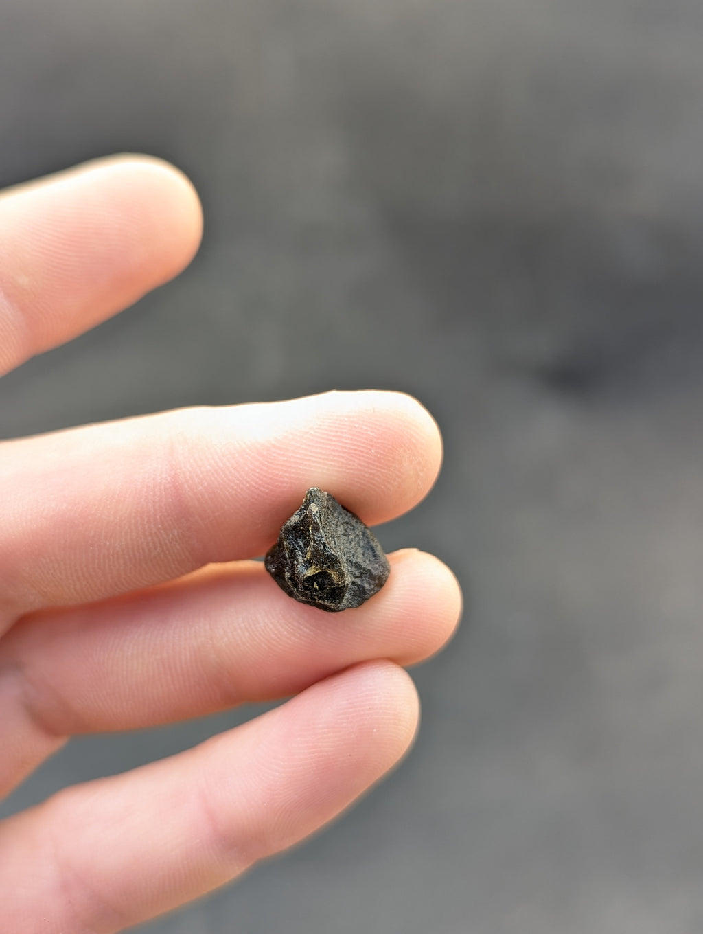 Moravian Moldavite – Slavětice | 2.47 g | Collector-Grade Specimen