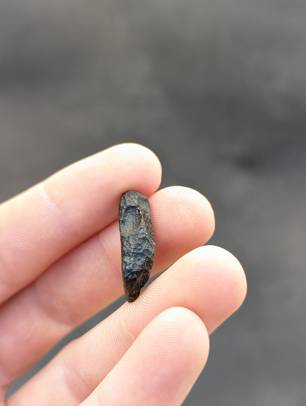 Moravian Moldavite – Skryje | 2.84 g | Collector-Grade Specimen