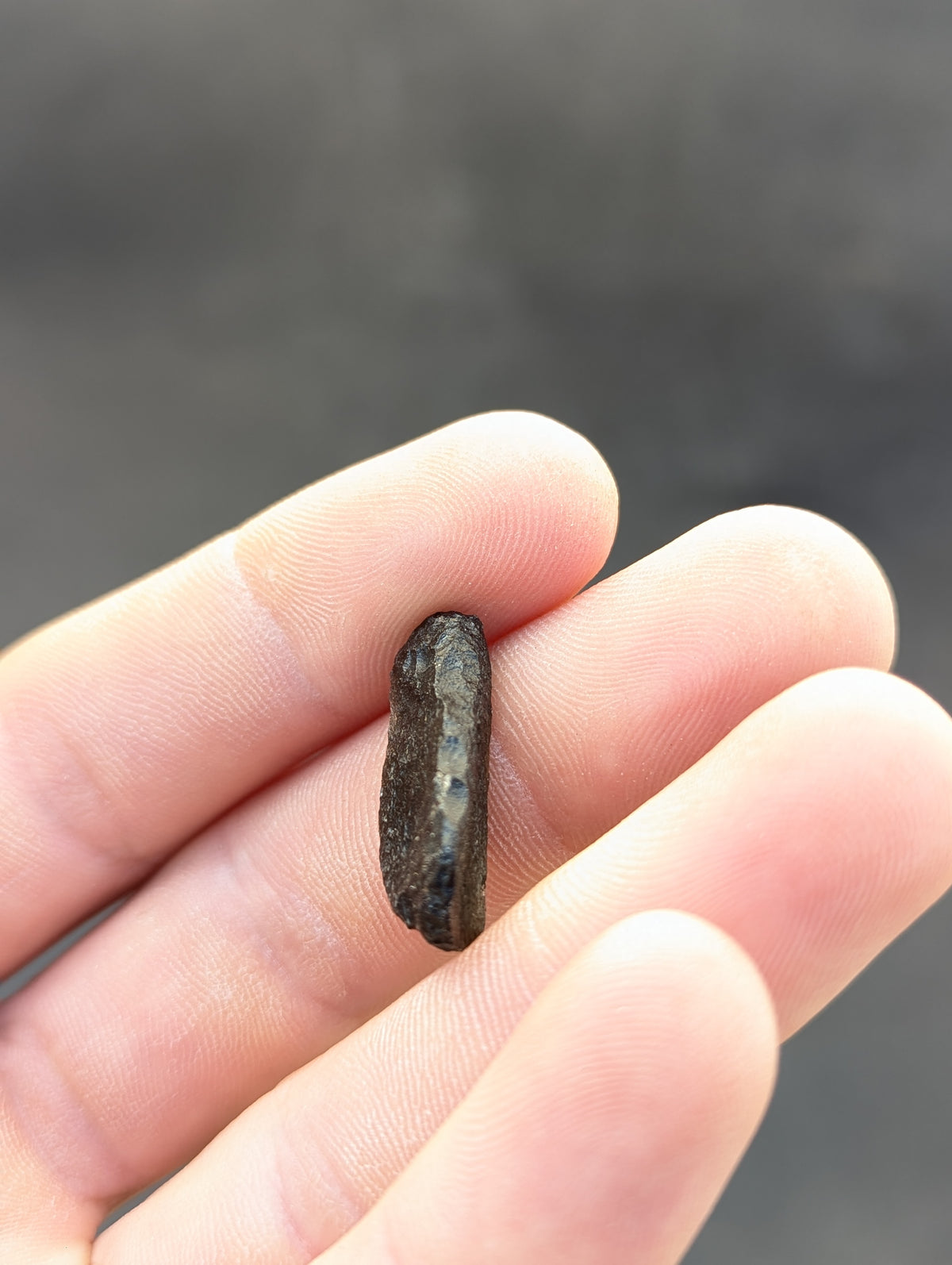 Moravian Moldavite – Skryje | 2.84 g | Collector-Grade Specimen