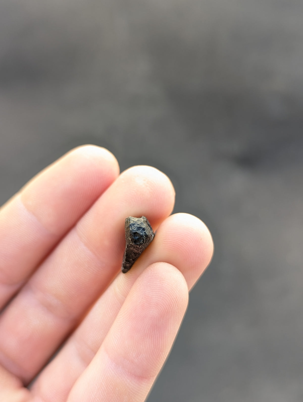 Moravian Moldavite – Skryje | 2.84 g | Collector-Grade Specimen