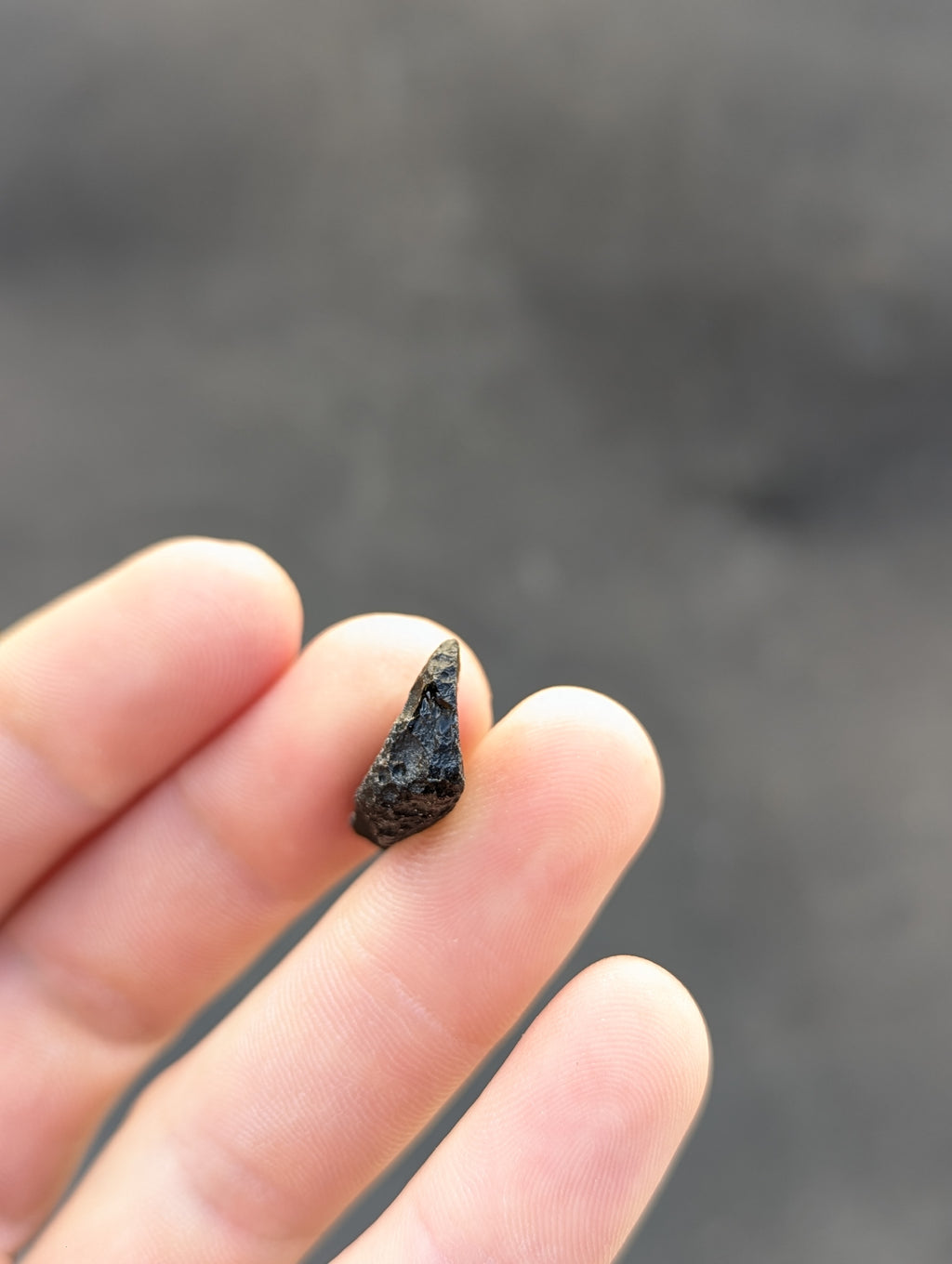 Moravian Moldavite – Skryje | 2.84 g | Collector-Grade Specimen