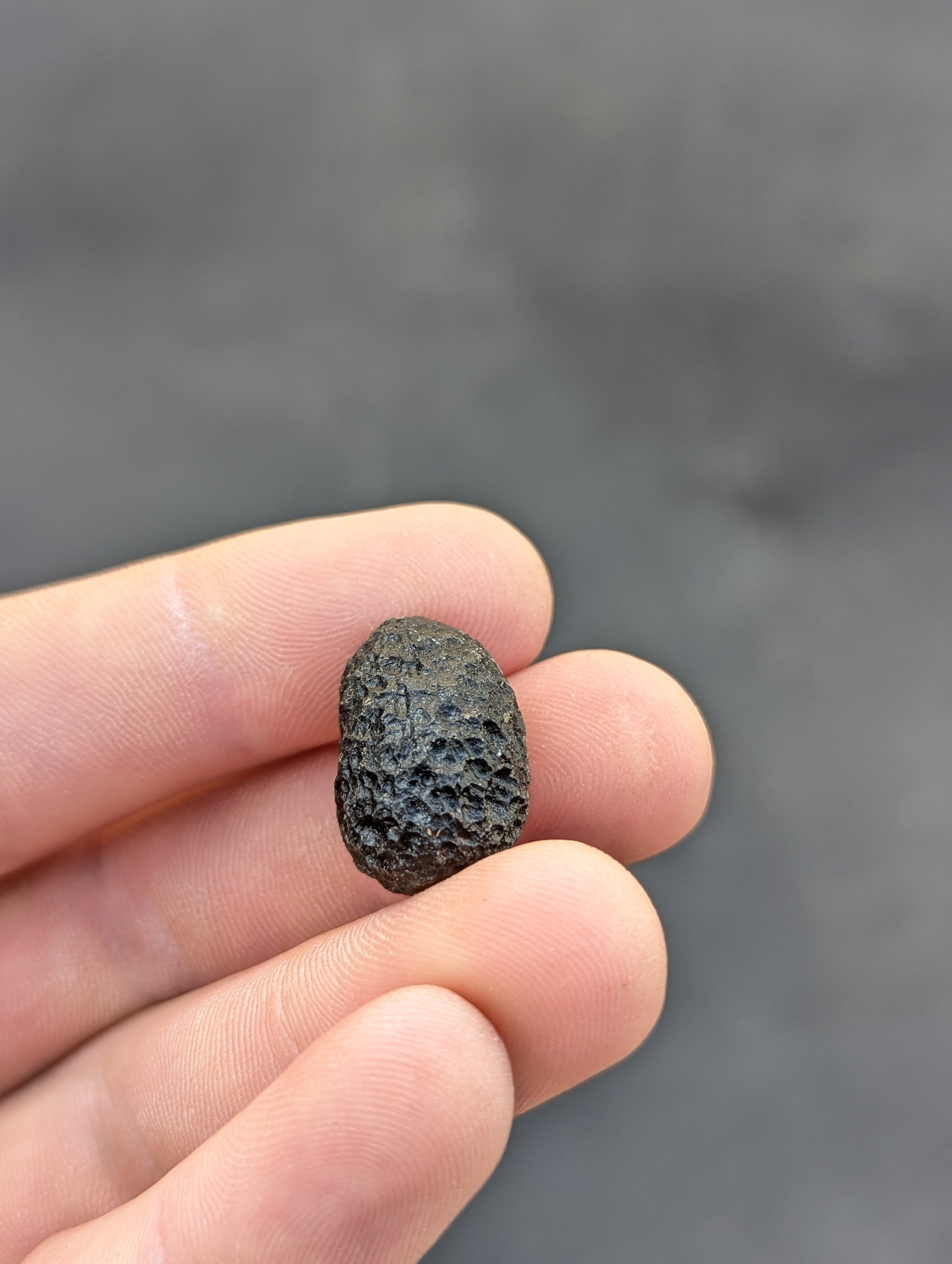 Moravian Moldavite – Skryje | 5.75 g | Egg-Shaped Collector Specimen