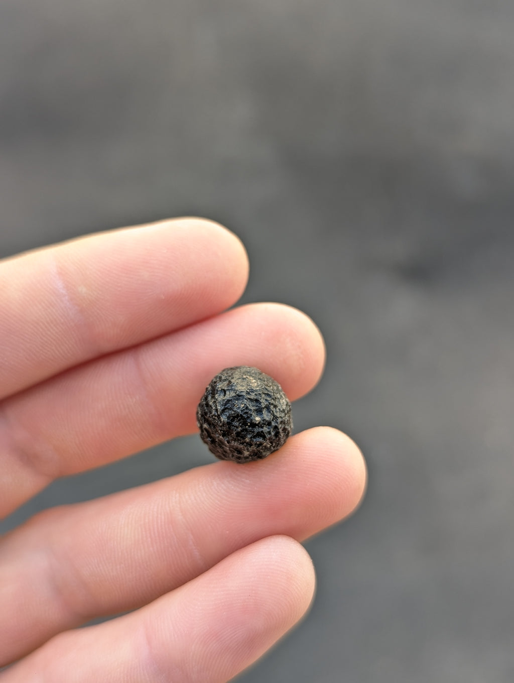 Moravian Moldavite – Skryje | 5.75 g | Egg-Shaped Collector Specimen