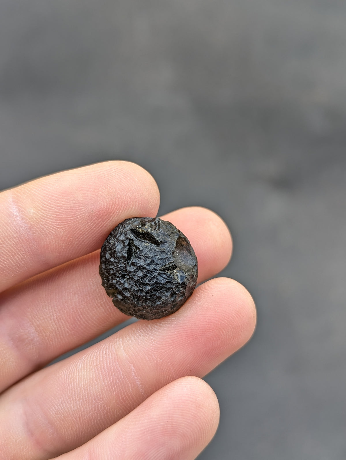 Moravian Moldavite – Skryje | 7.73 g | Green Disk with Open Bubble