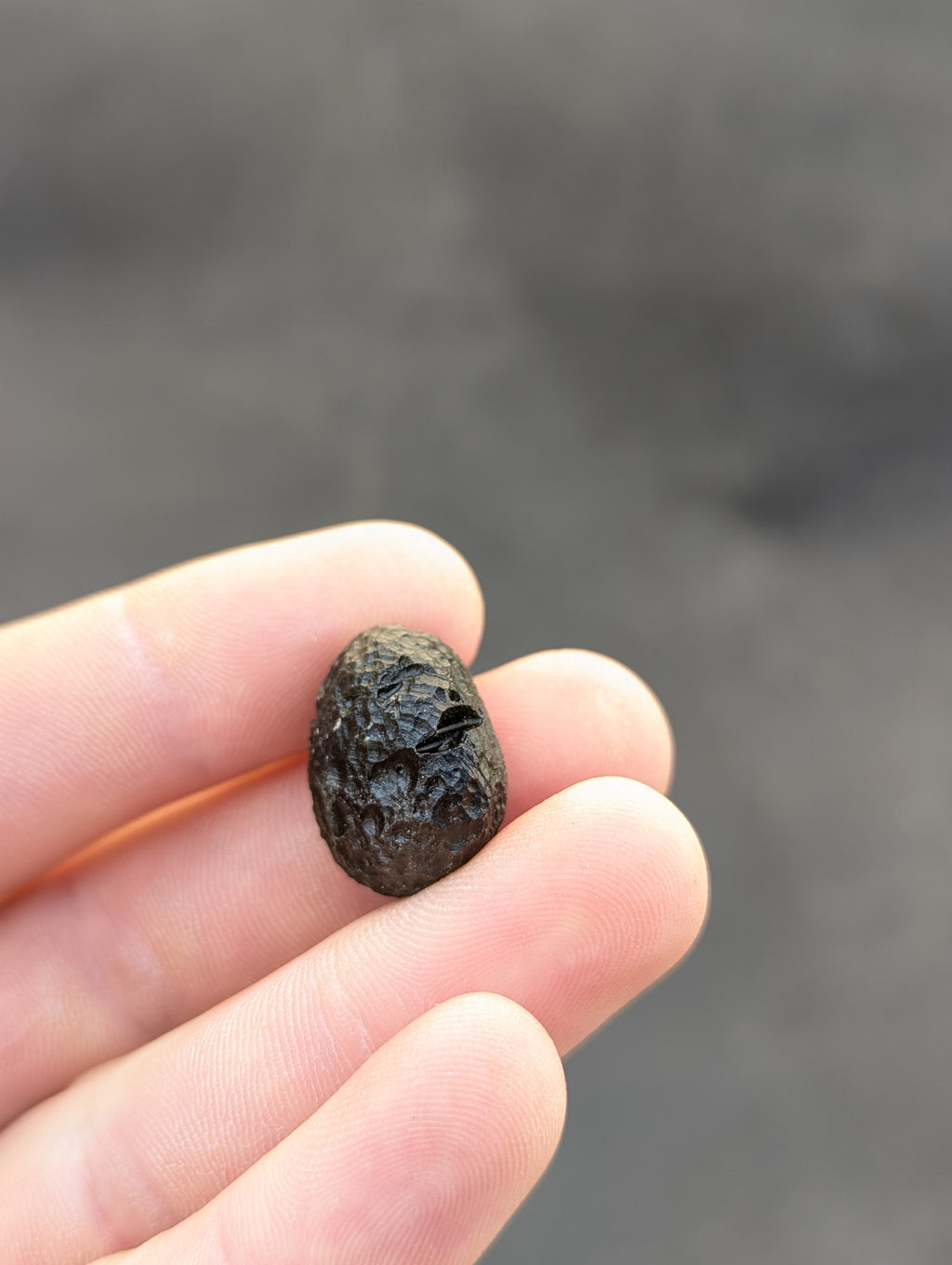 Moravian Moldavite – Skryje | 7.73 g | Green Disk with Open Bubble