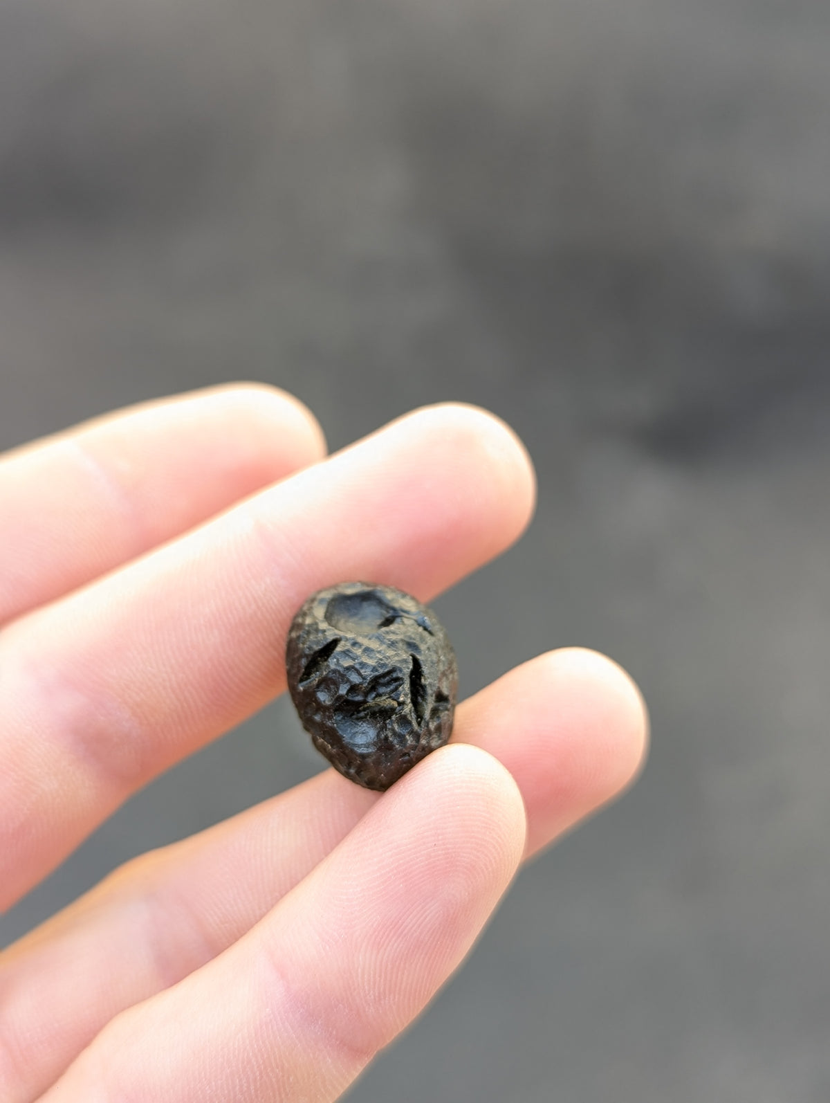 Moravian Moldavite – Skryje | 7.73 g | Green Disk with Open Bubble
