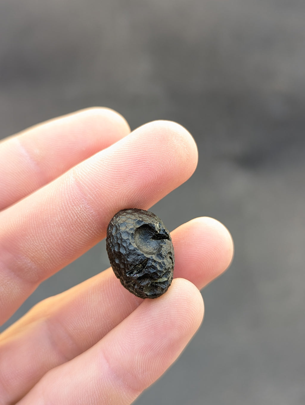 Moravian Moldavite – Skryje | 7.73 g | Green Disk with Open Bubble