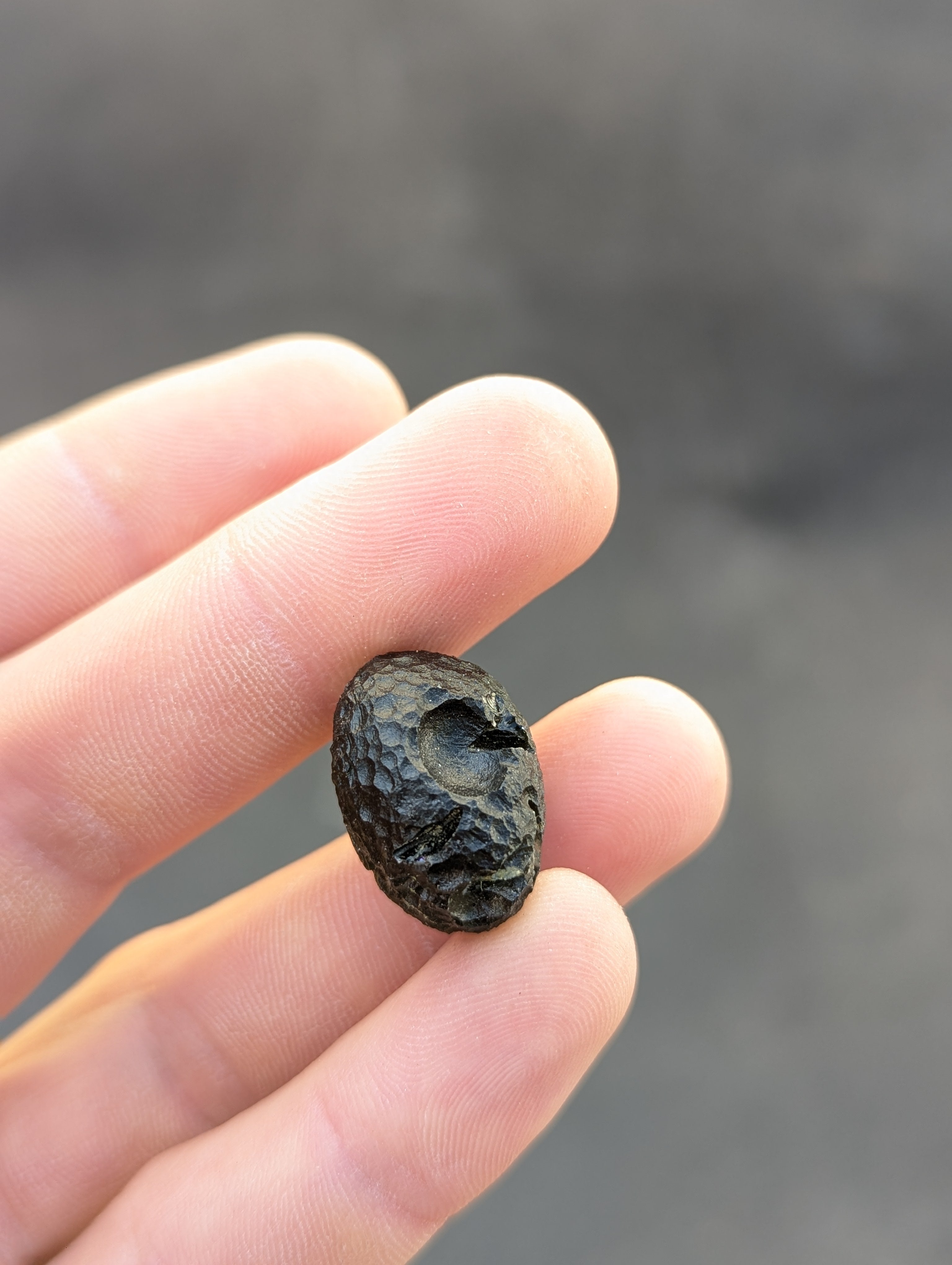 Moravian Moldavite – Skryje | 7.73 g | Green Disk with Open Bubble