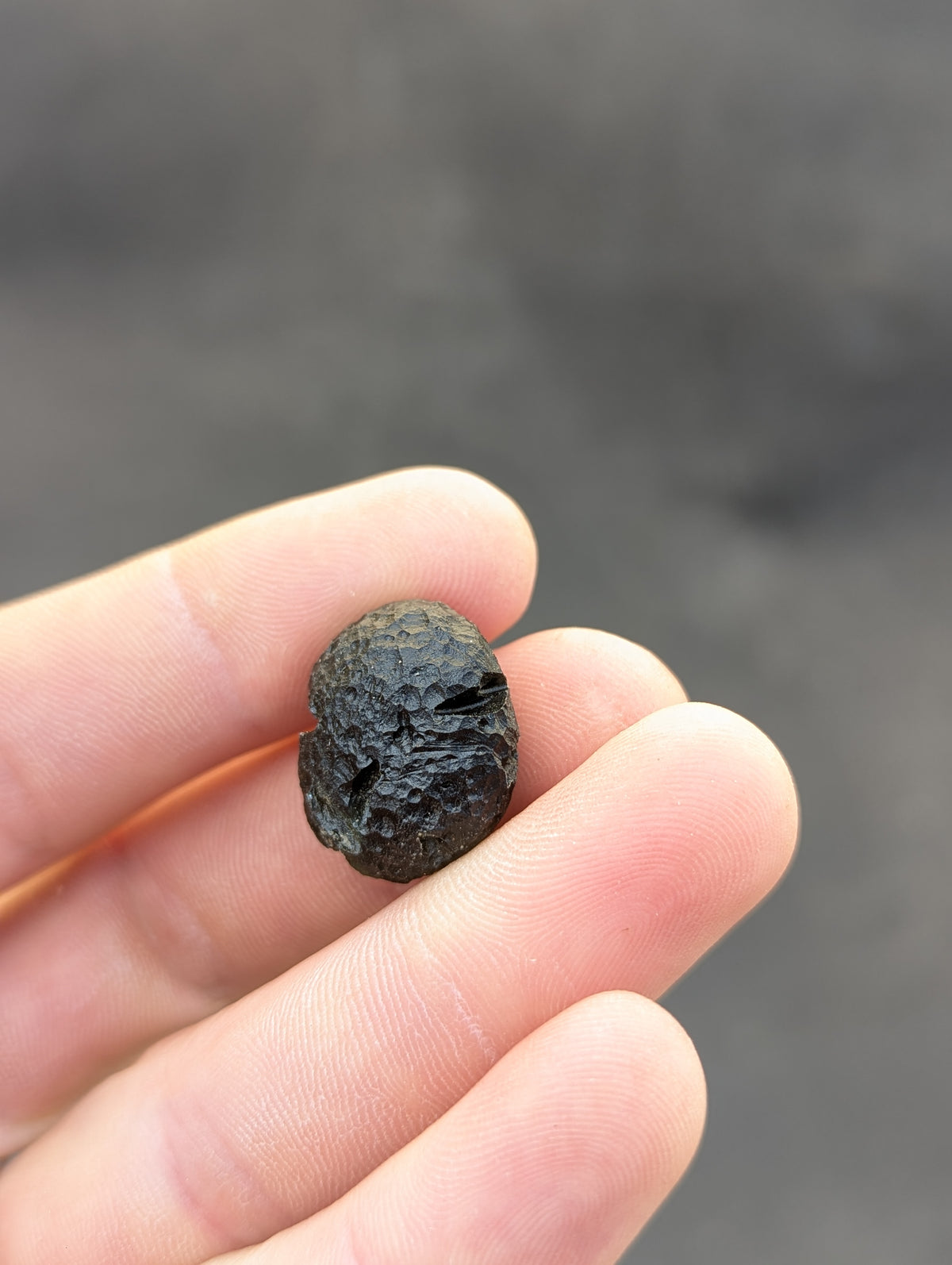 Moravian Moldavite – Skryje | 7.73 g | Green Disk with Open Bubble