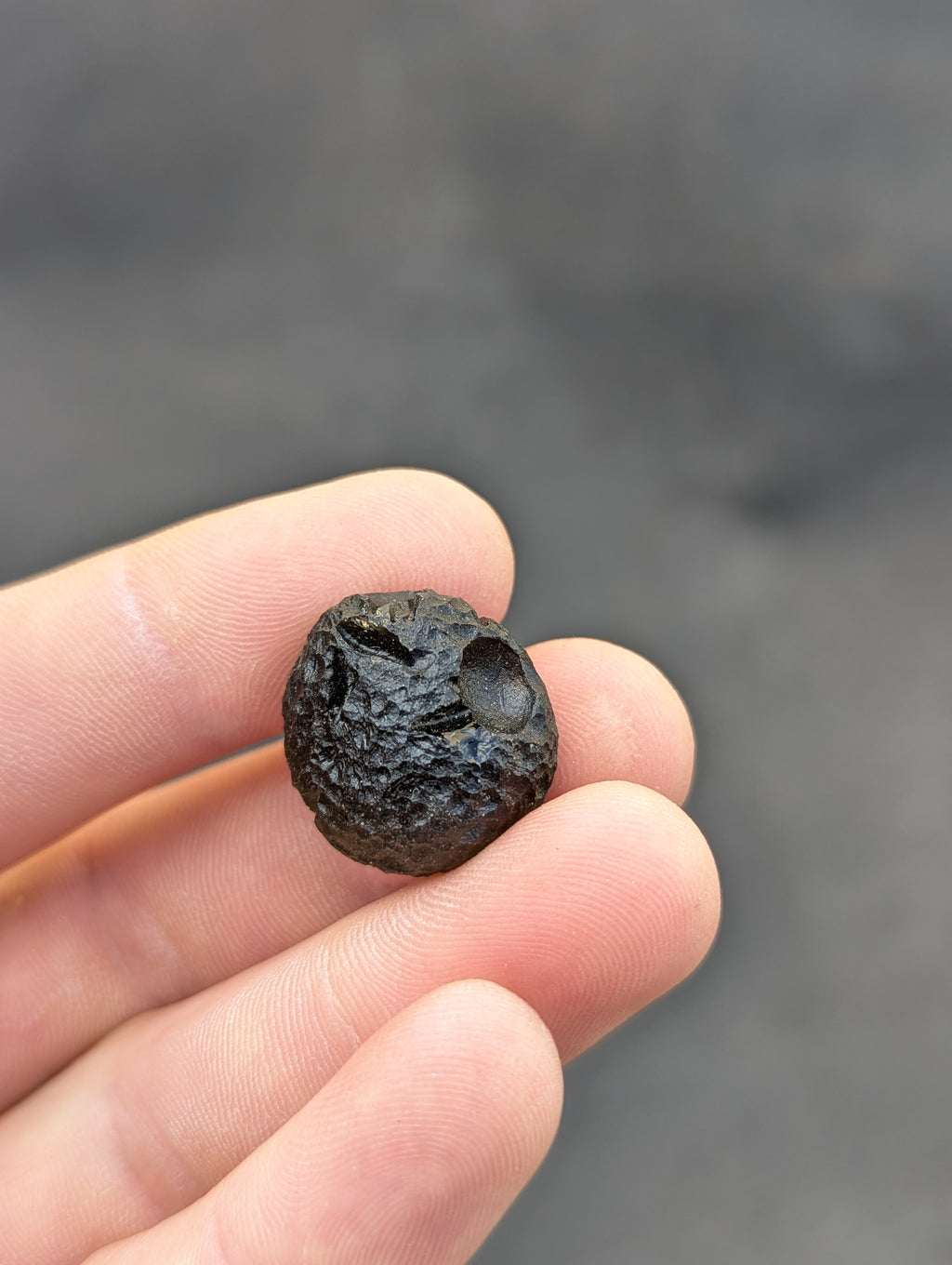 Moravian Moldavite – Skryje | 7.73 g | Green Disk with Open Bubble