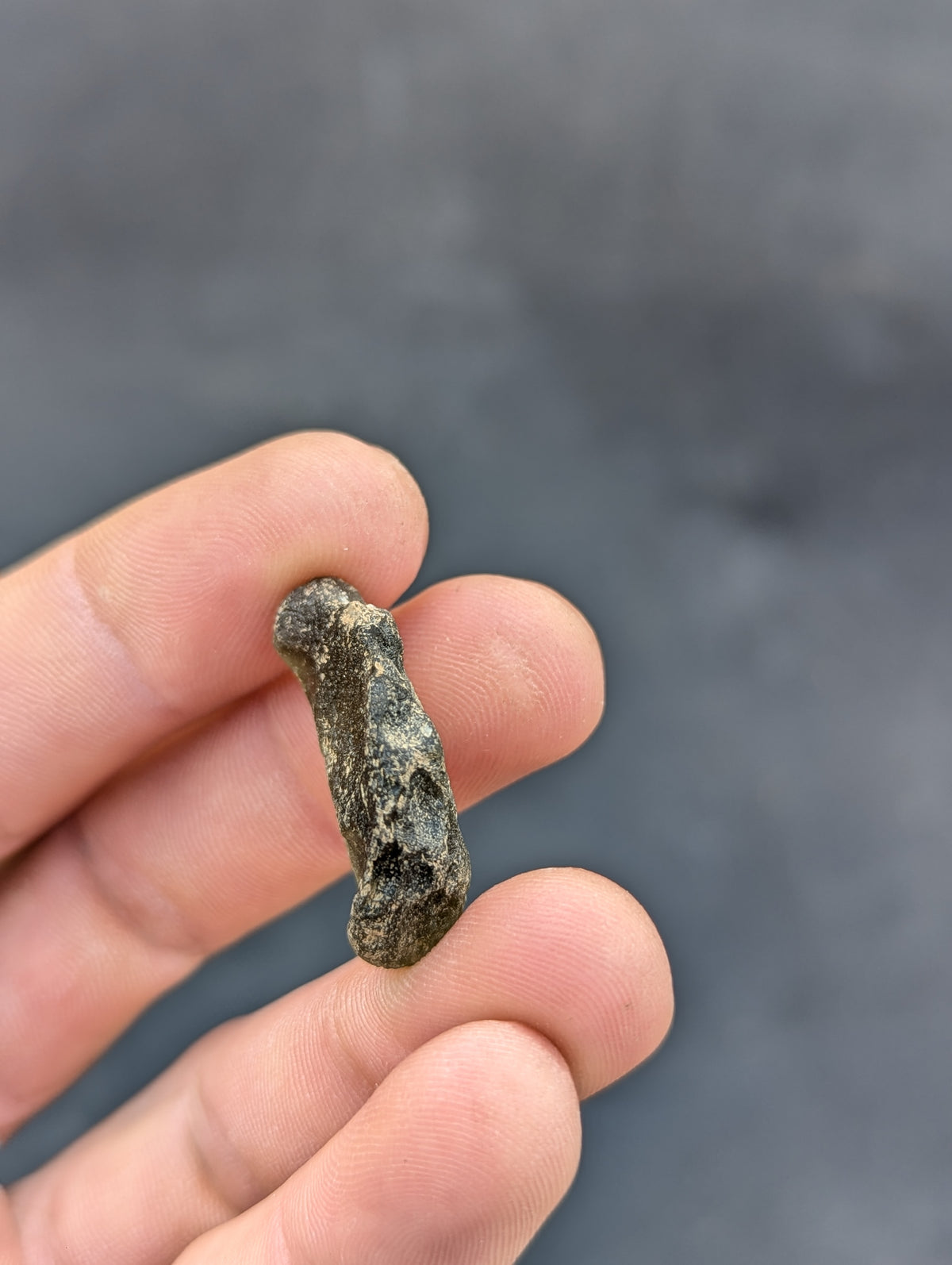Moravian Moldavite – Kordula | 5.25 g | Apple Green Heart-Shaped Collector Specimen