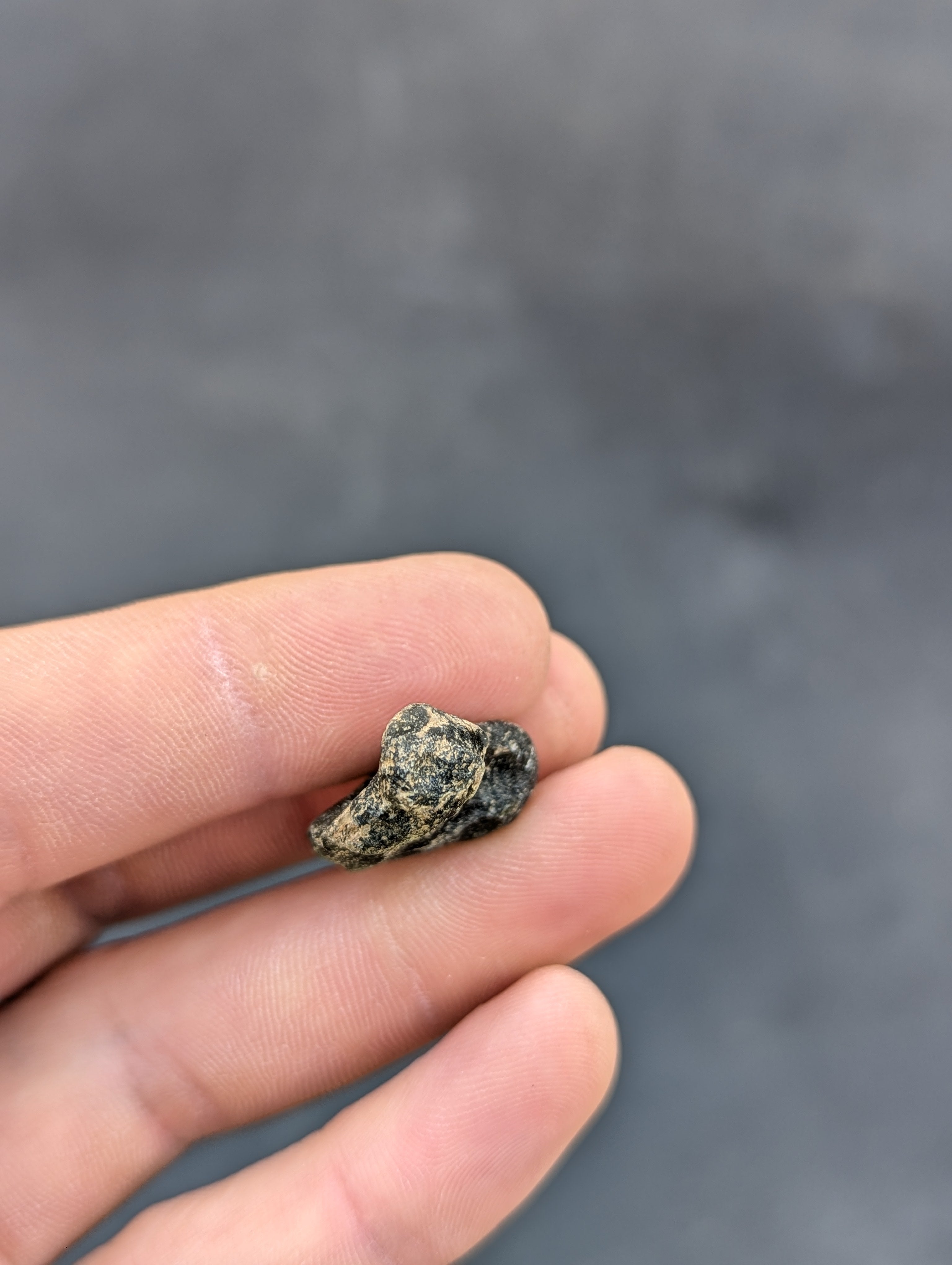 Moravian Moldavite – Kordula | 5.25 g | Apple Green Heart-Shaped Collector Specimen