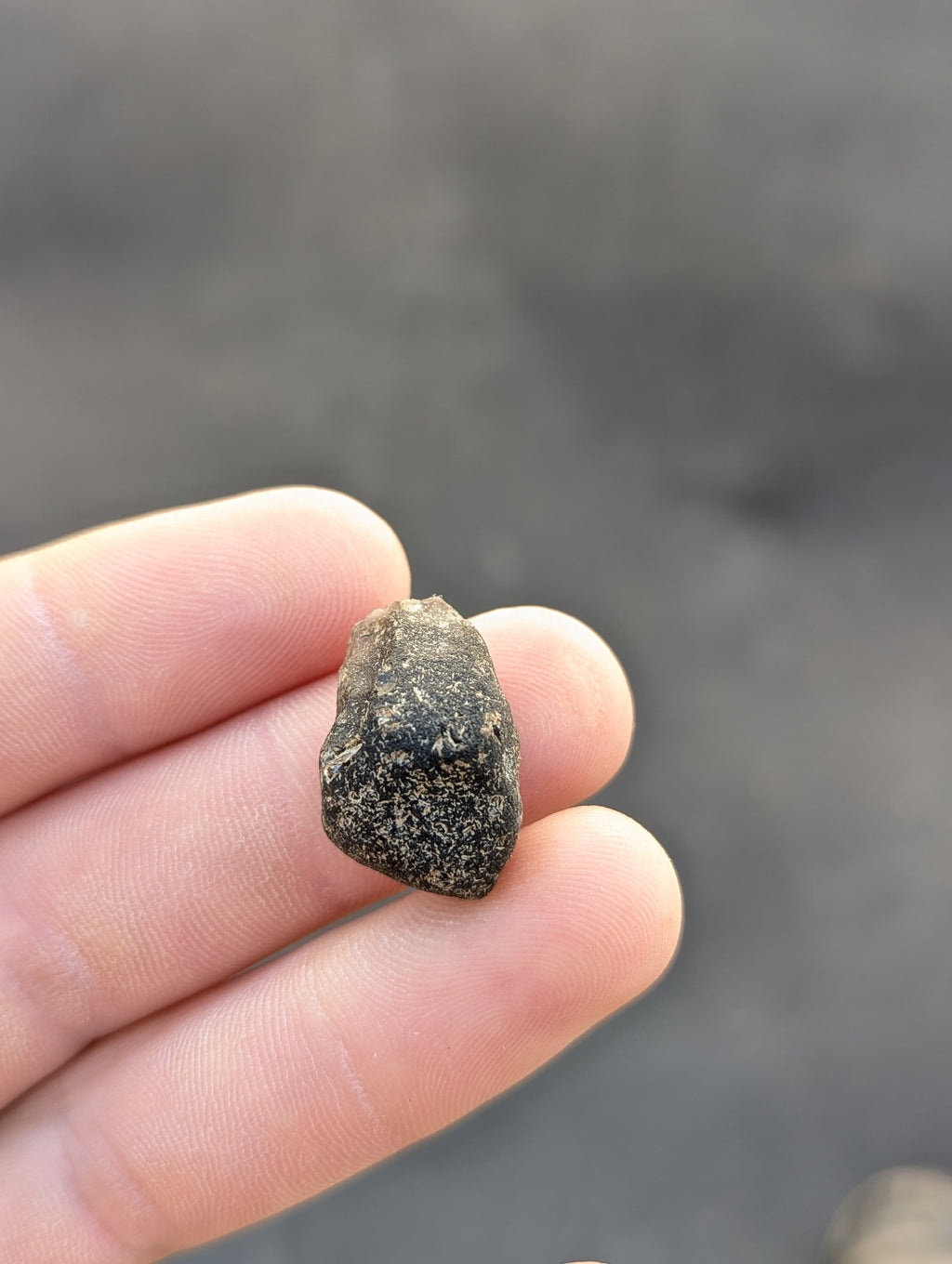 Moravian Moldavite – Kordula | 5.50 g | Collector-Grade Specimen