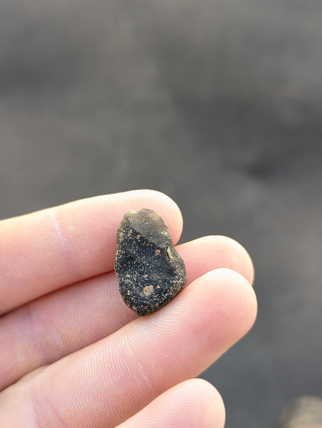 Moravian Moldavite – Kordula | 5.50 g | Collector-Grade Specimen