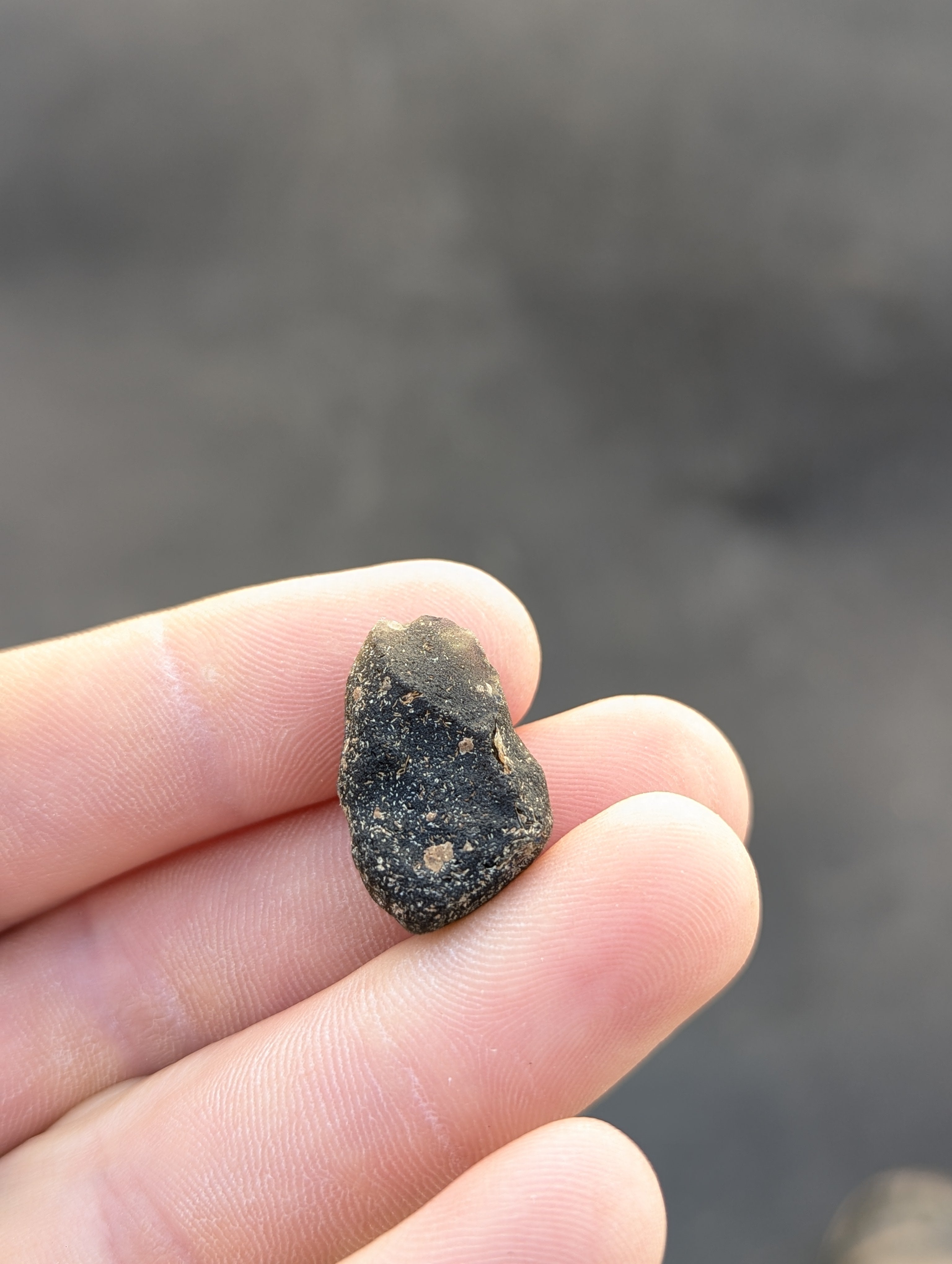 Moravian Moldavite – Kordula | 5.50 g | Collector-Grade Specimen