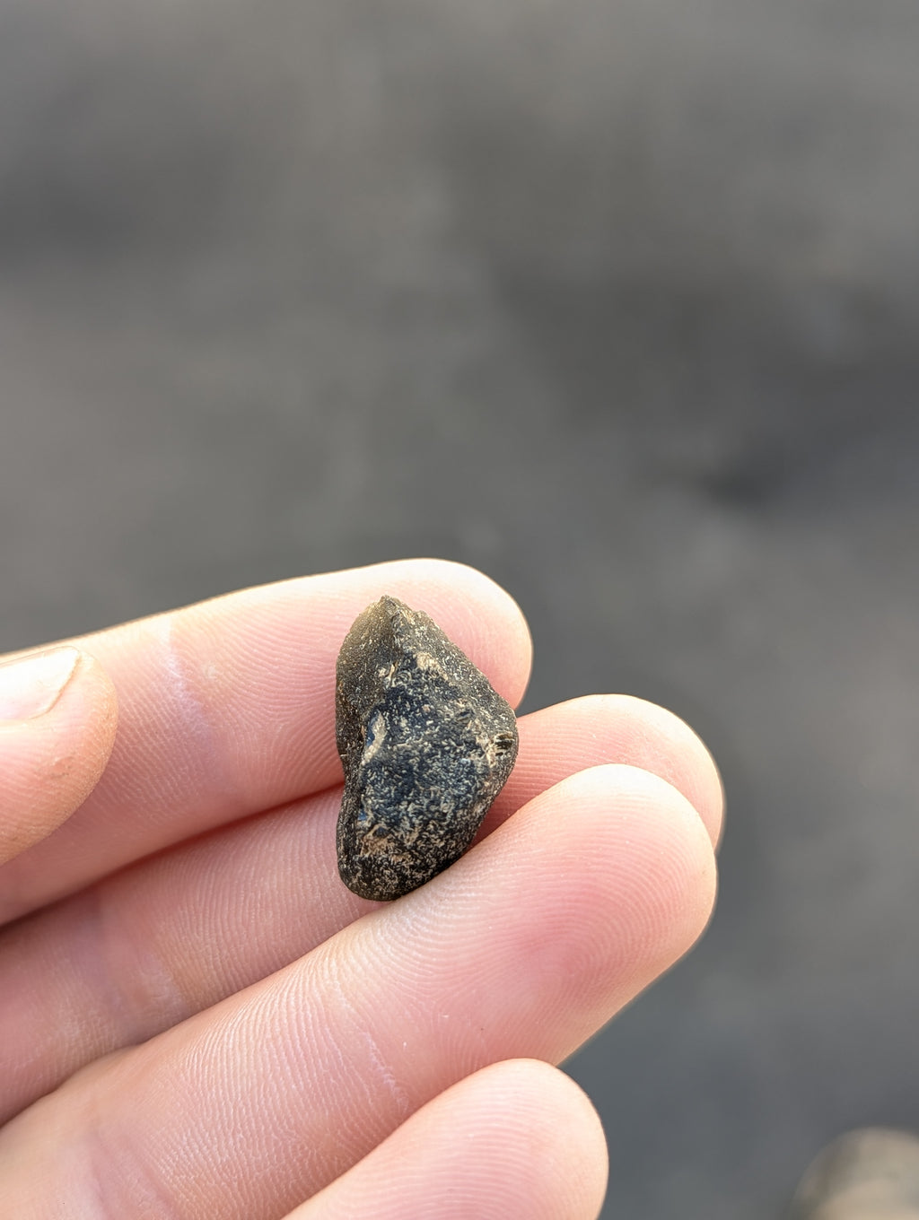 Moravian Moldavite – Kordula | 5.50 g | Collector-Grade Specimen