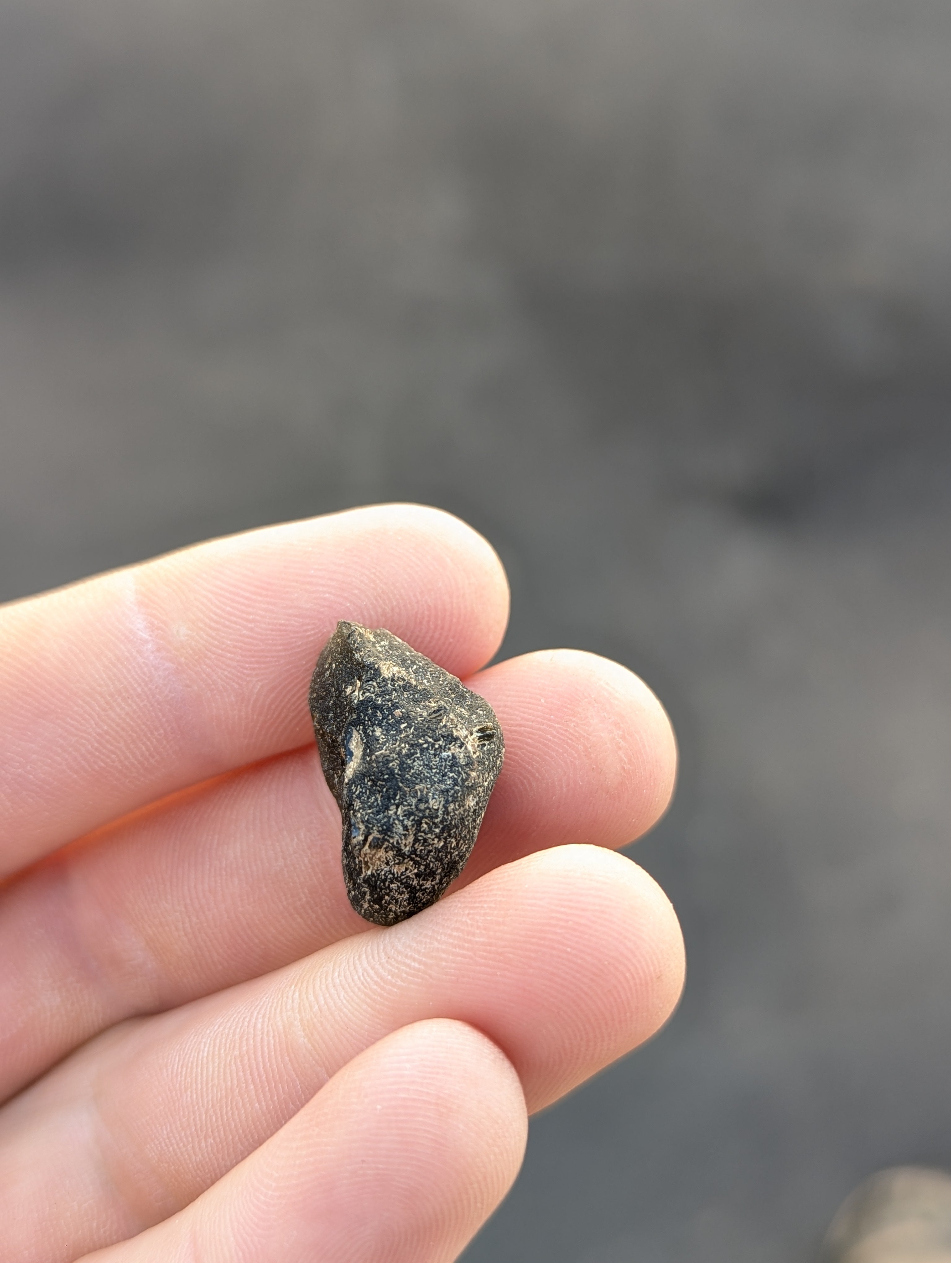Moravian Moldavite – Kordula | 5.50 g | Collector-Grade Specimen