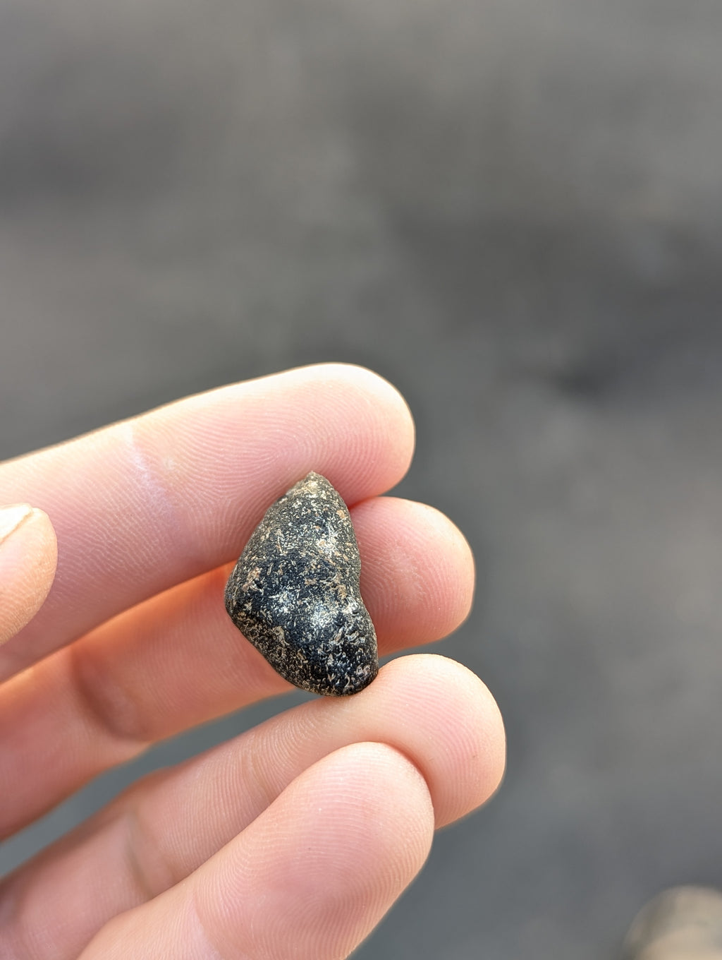 Moravian Moldavite – Kordula | 5.50 g | Collector-Grade Specimen