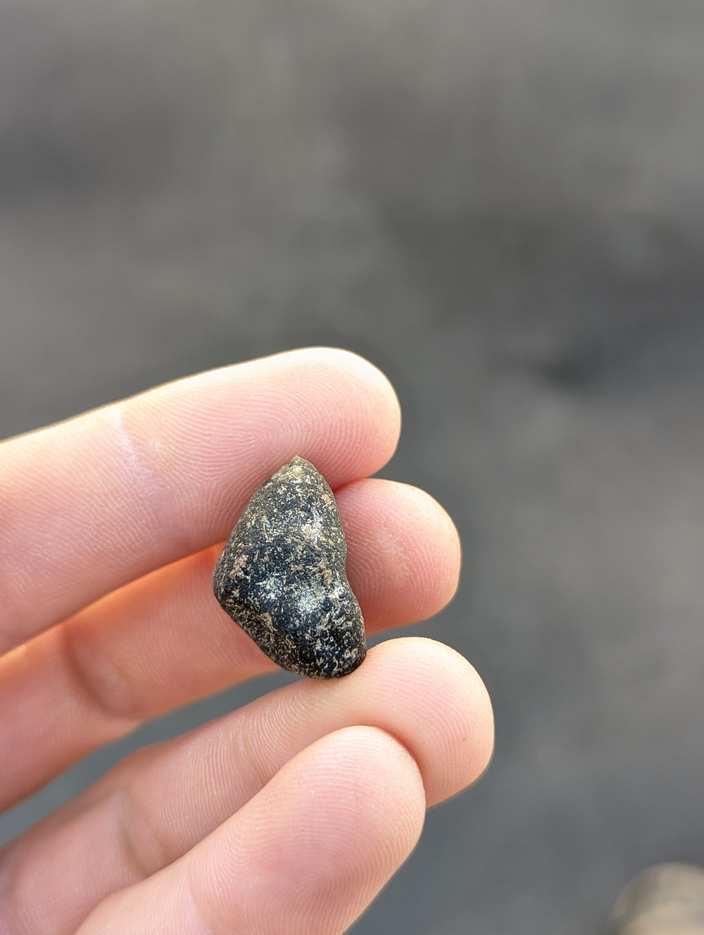 Moravian Moldavite – Kordula | 5.50 g | Collector-Grade Specimen