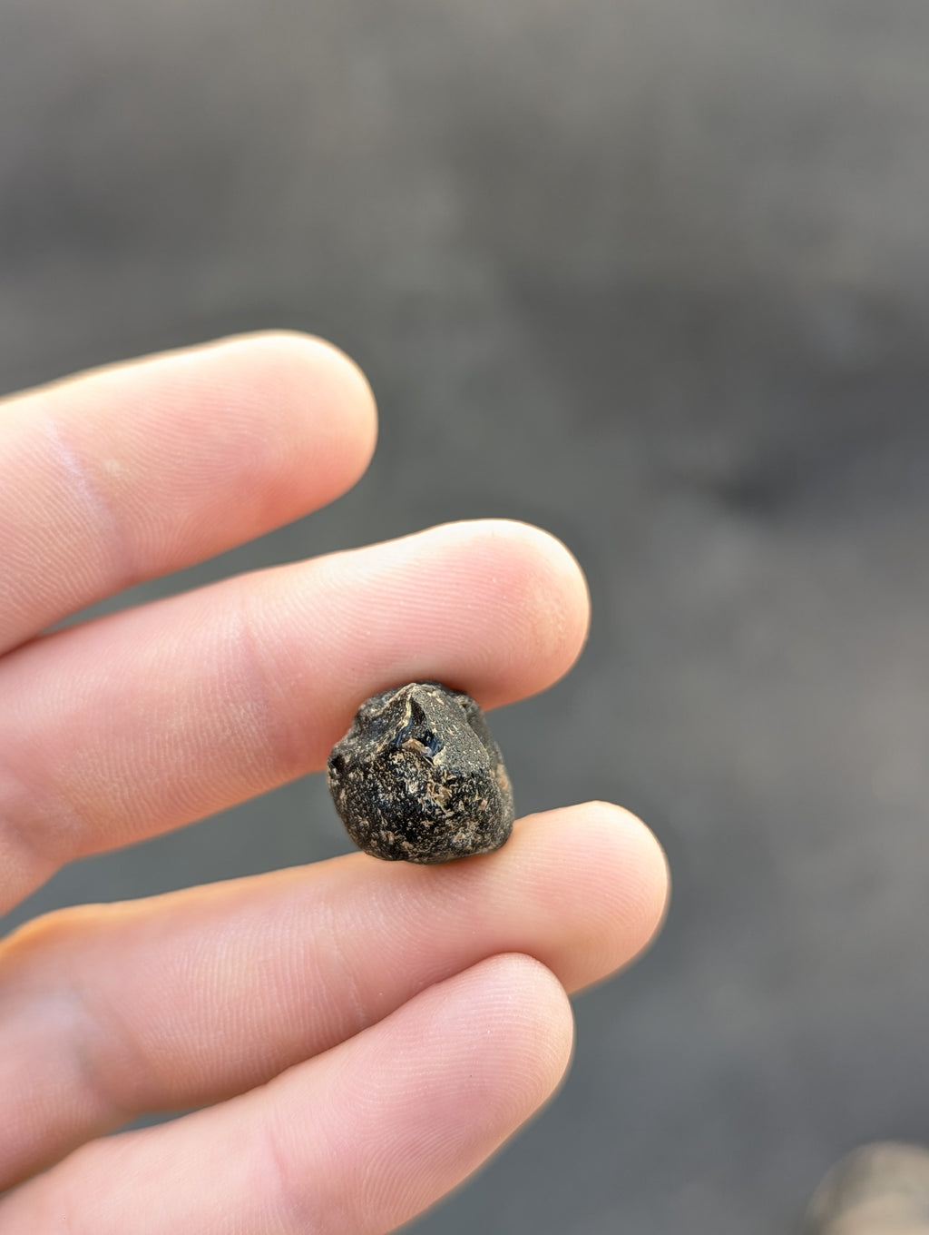 Moravian Moldavite – Kordula | 5.50 g | Collector-Grade Specimen