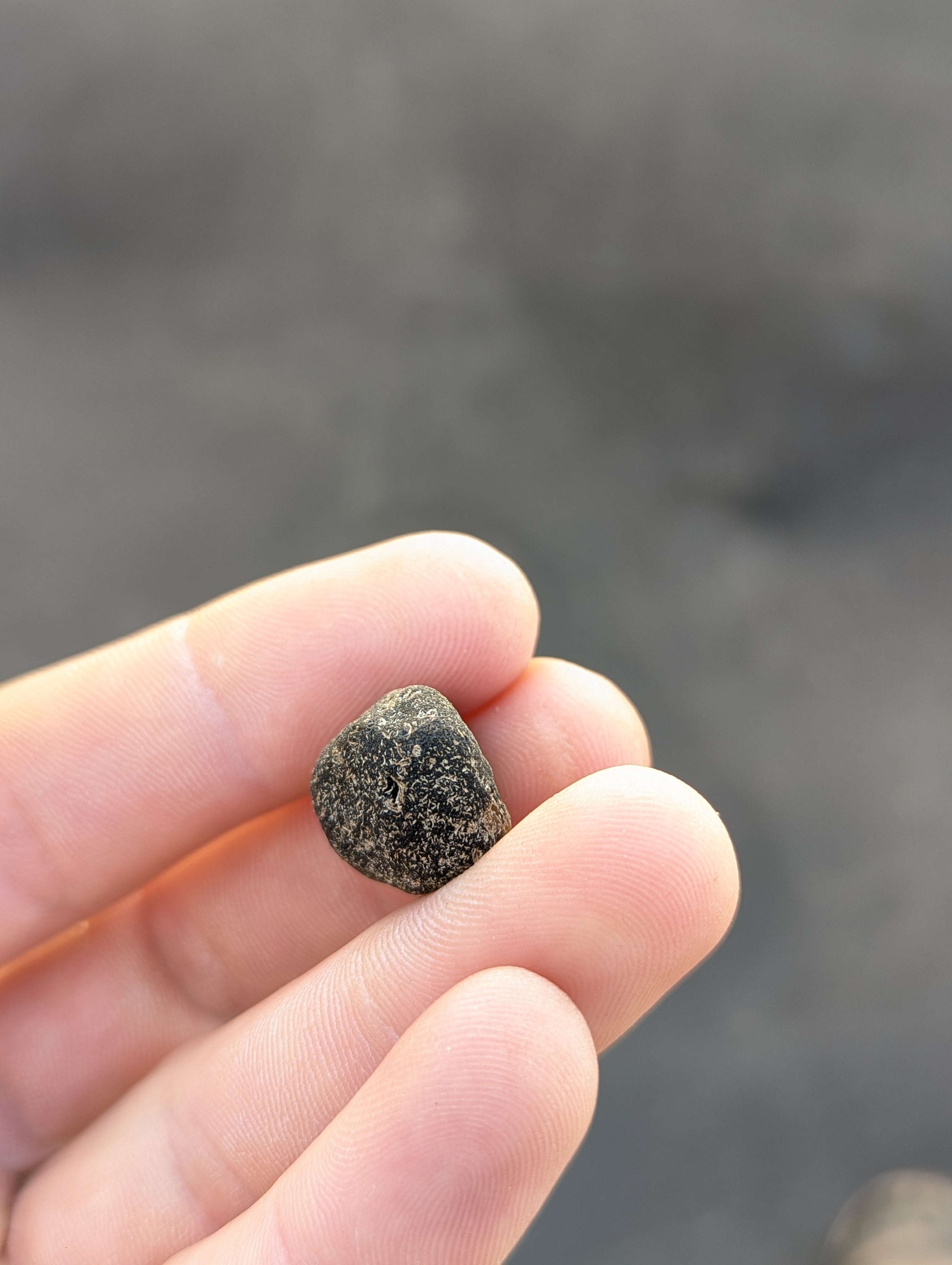 Moravian Moldavite – Kordula | 5.50 g | Collector-Grade Specimen