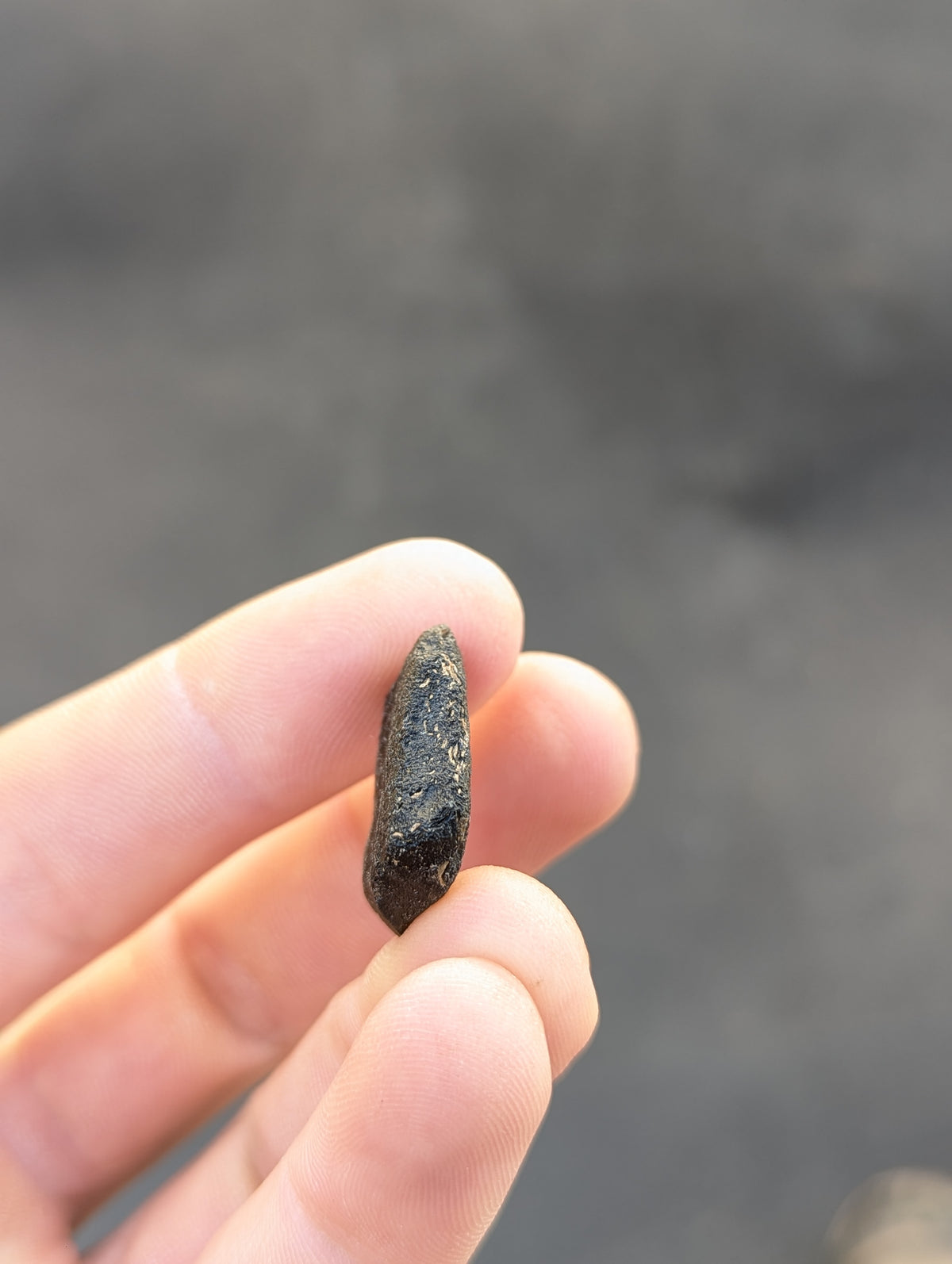 Moravian Moldavite – Slavice Achtele | 3.84 g | Collector-Grade Specimen