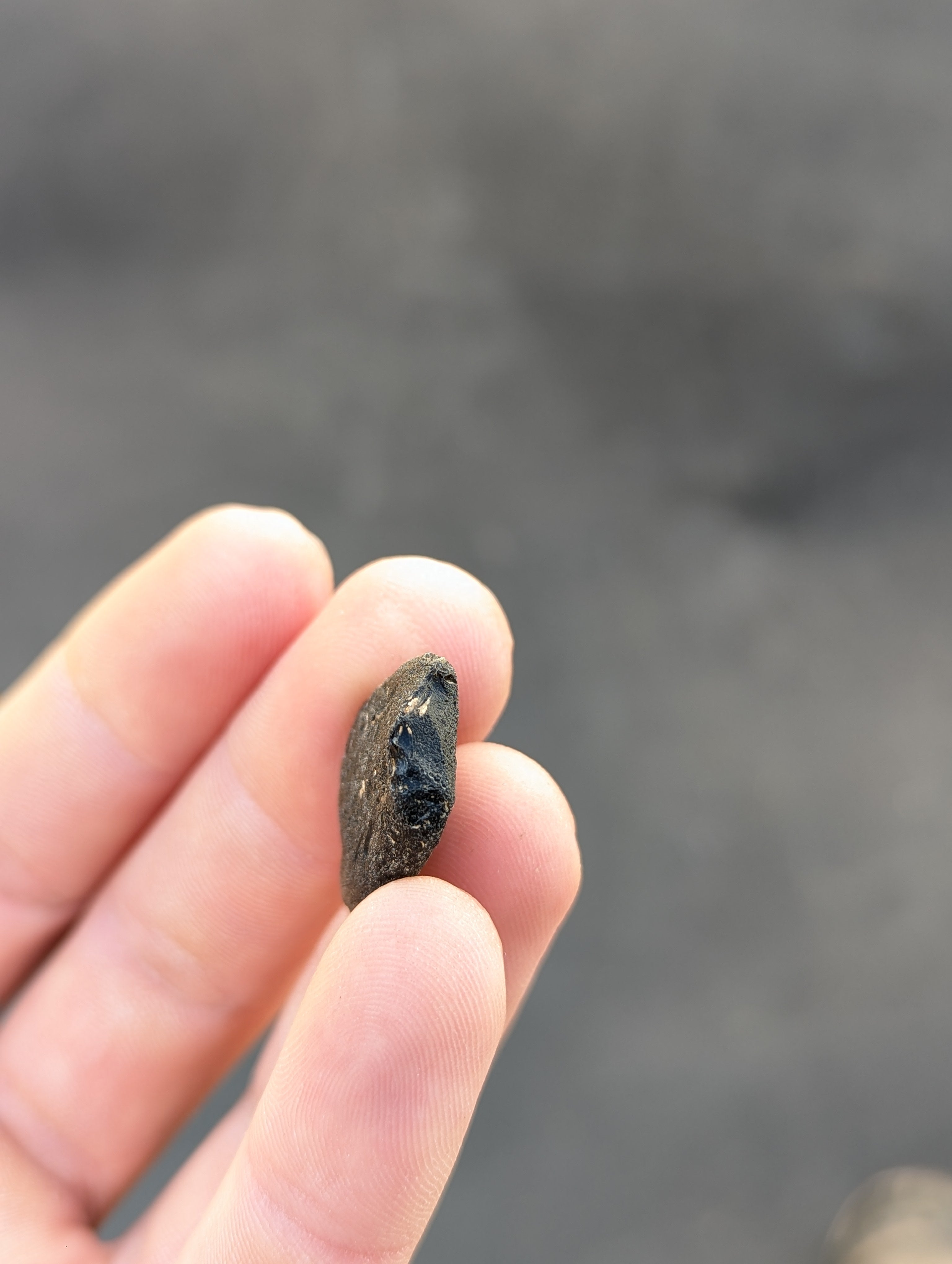 Moravian Moldavite – Slavice Achtele | 3.84 g | Collector-Grade Specimen