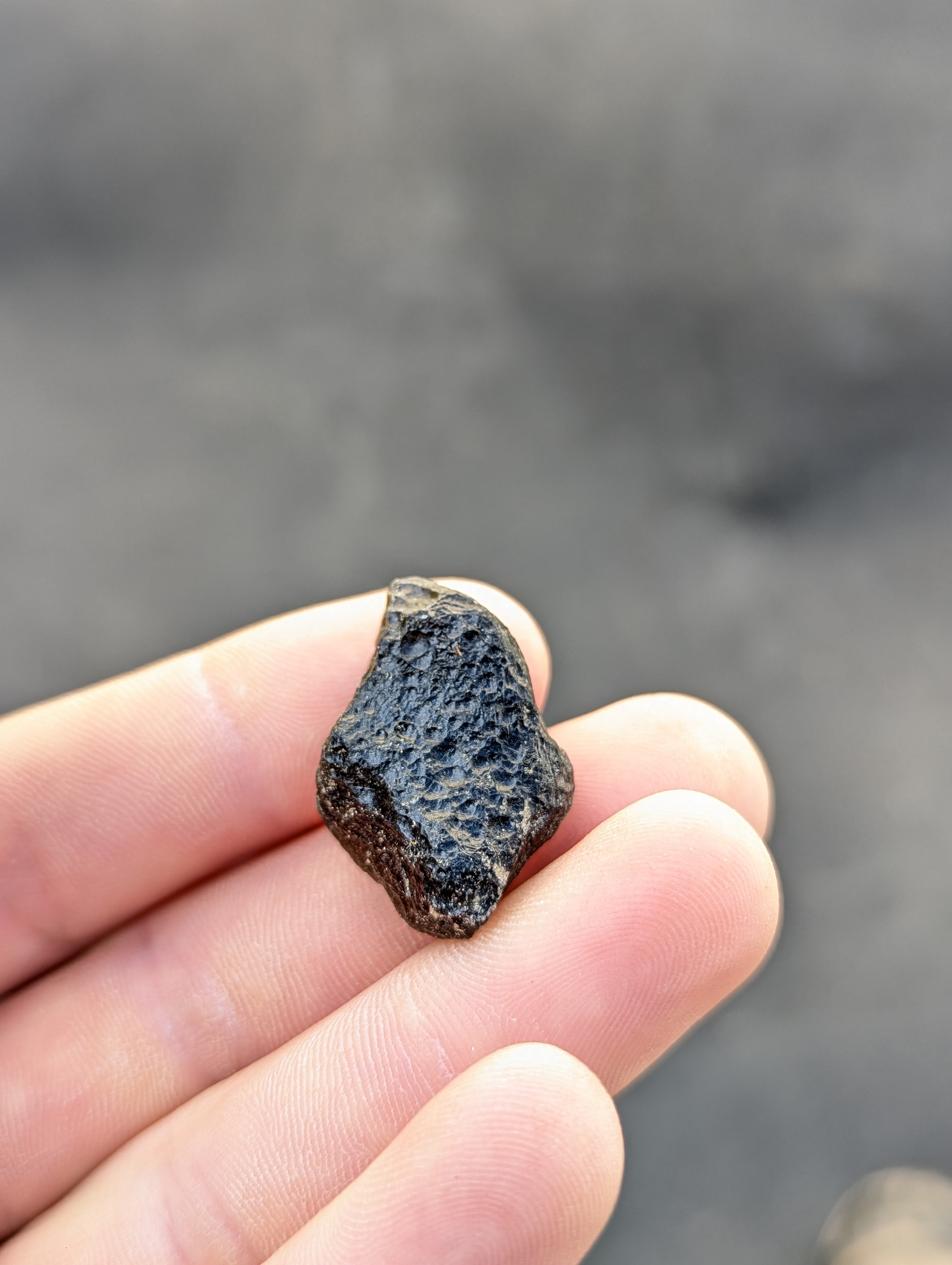 Moravian Moldavite – Slavice Achtele | 9.03 g | Collector-Grade Specimen