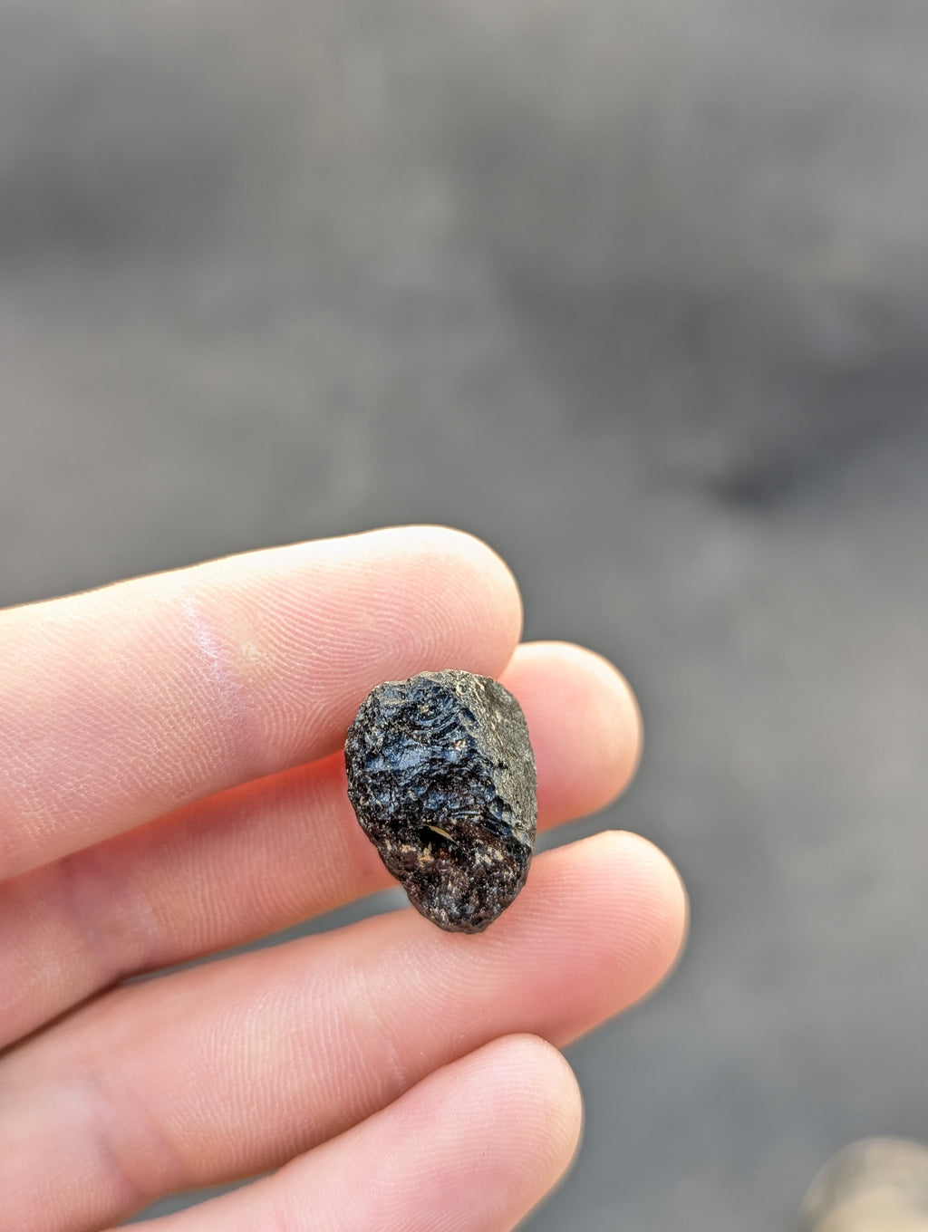 Moravian Moldavite – Slavice Achtele | 9.03 g | Collector-Grade Specimen