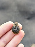 Moravian Moldavite – Slavice Achtele | 5.00 g | Collector-Grade Specimen