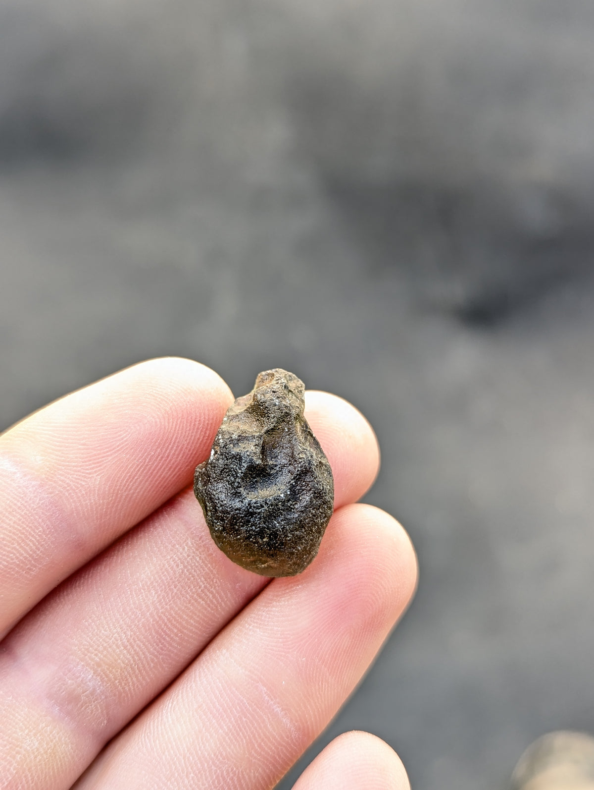 Moravian Moldavite – Slavice Achtele | 5.00 g | Collector-Grade Specimen