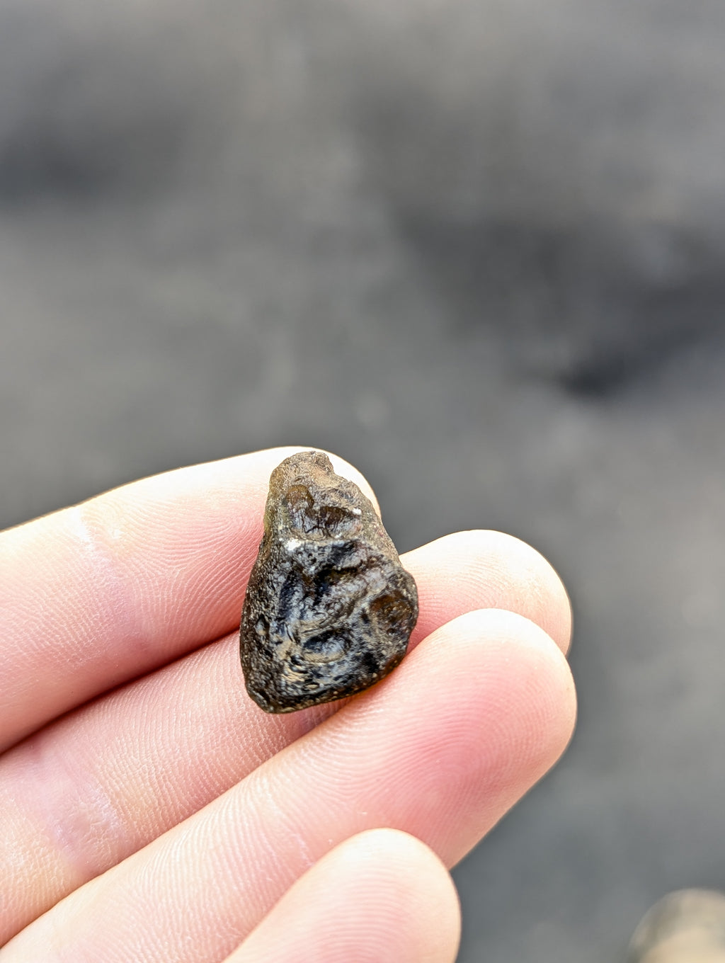 Moravian Moldavite – Slavice Achtele | 5.00 g | Collector-Grade Specimen