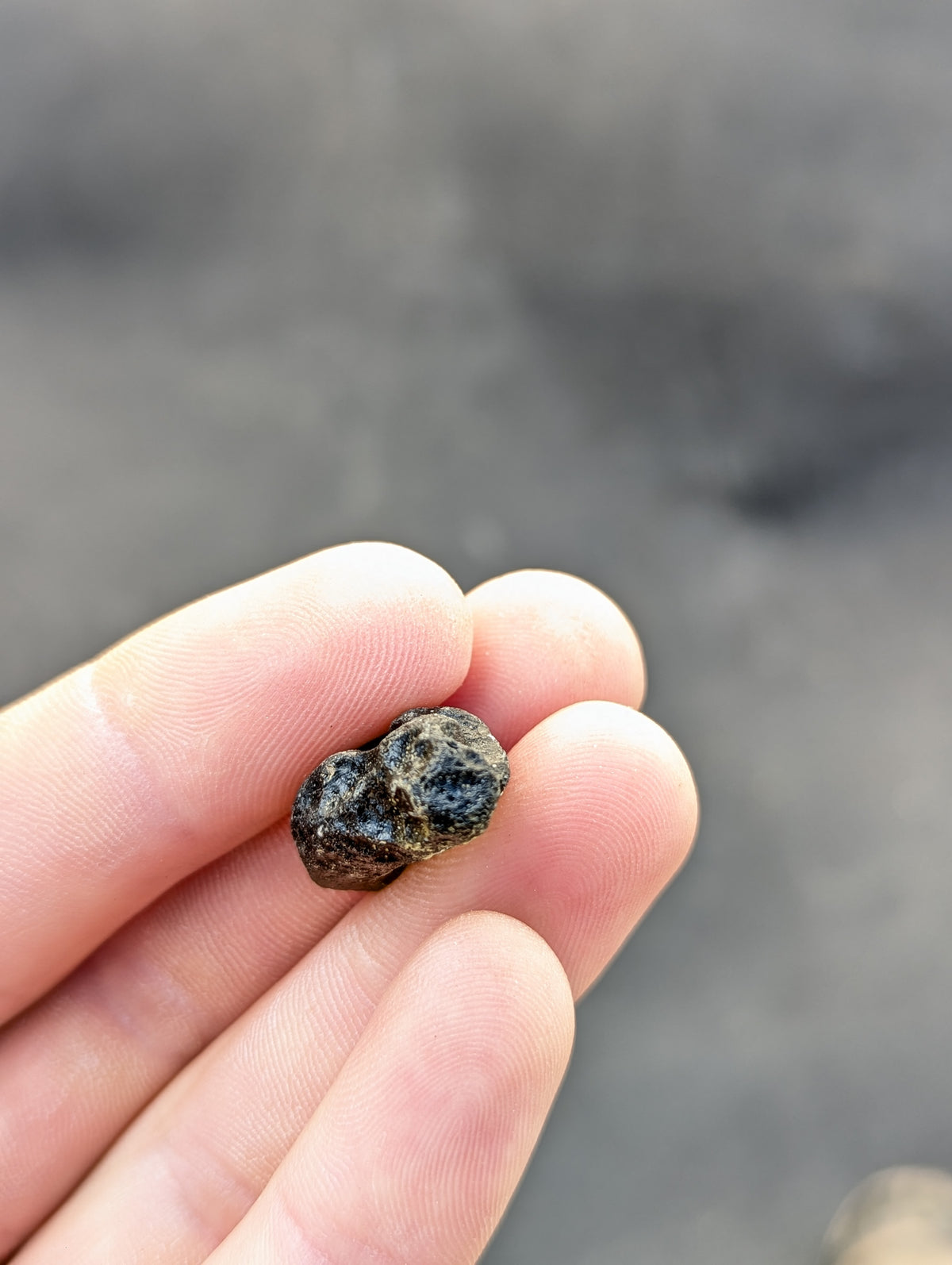 Moravian Moldavite – Slavice Achtele | 5.00 g | Collector-Grade Specimen