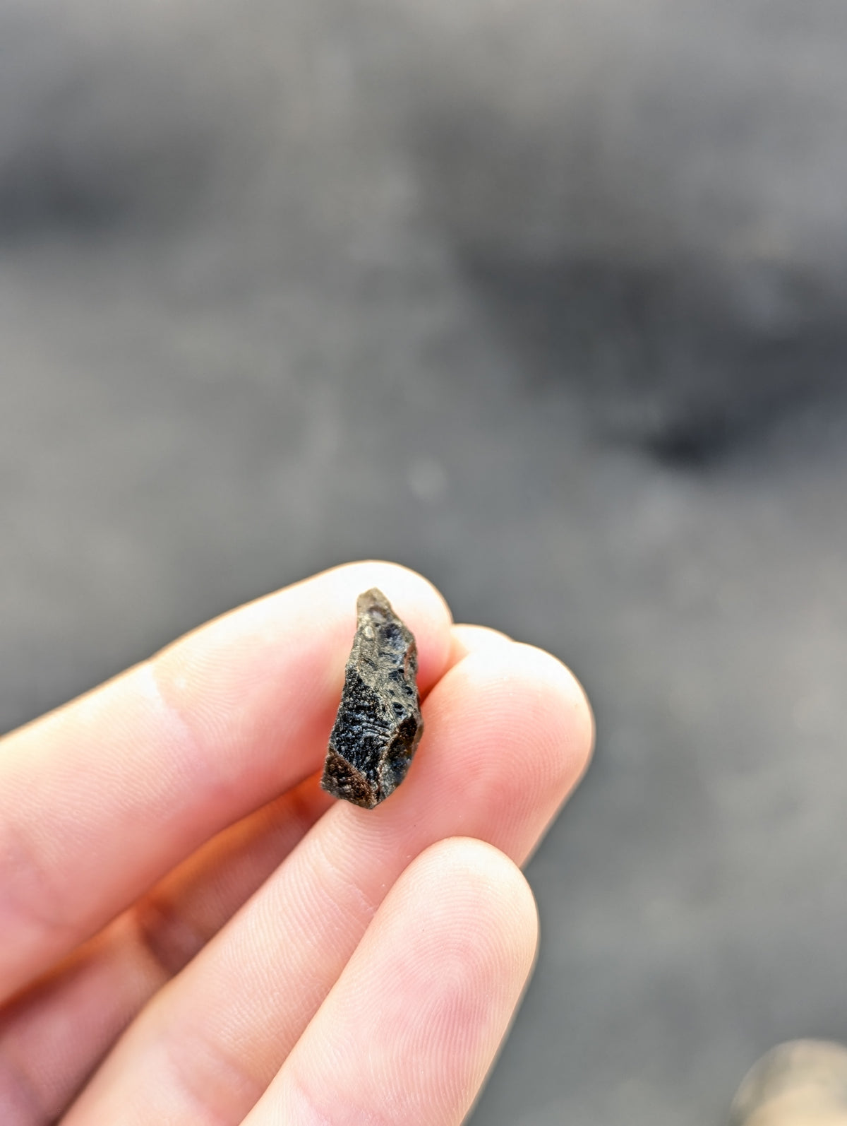 Moravian Moldavite – Slavice Achtele | 2.70 g | Collector-Grade Specimen