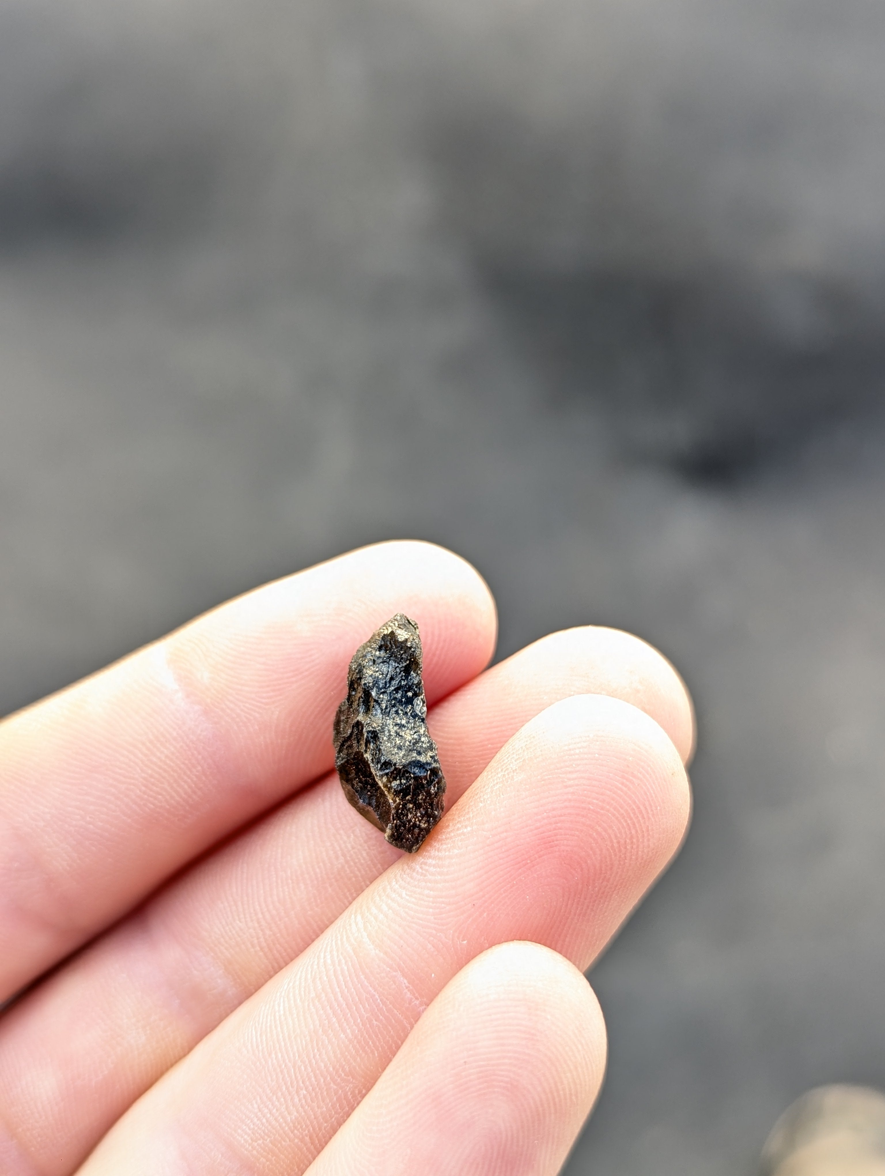 Moravian Moldavite – Slavice Achtele | 2.70 g | Collector-Grade Specimen