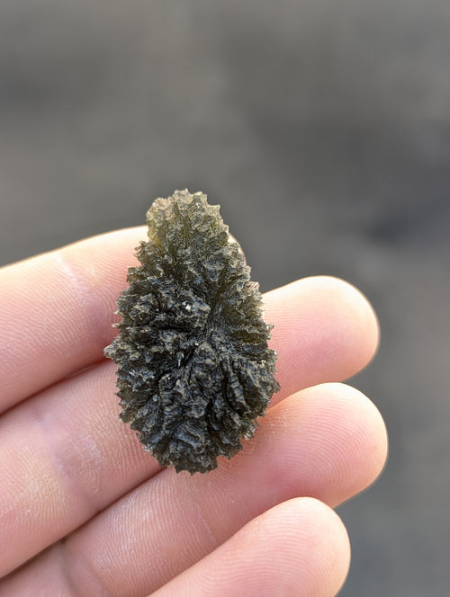 Bohemian Moldavite – Dobrkovská Lhotka | 14.46 g | Drop-Shaped Collector Specimen with Lechatelierite