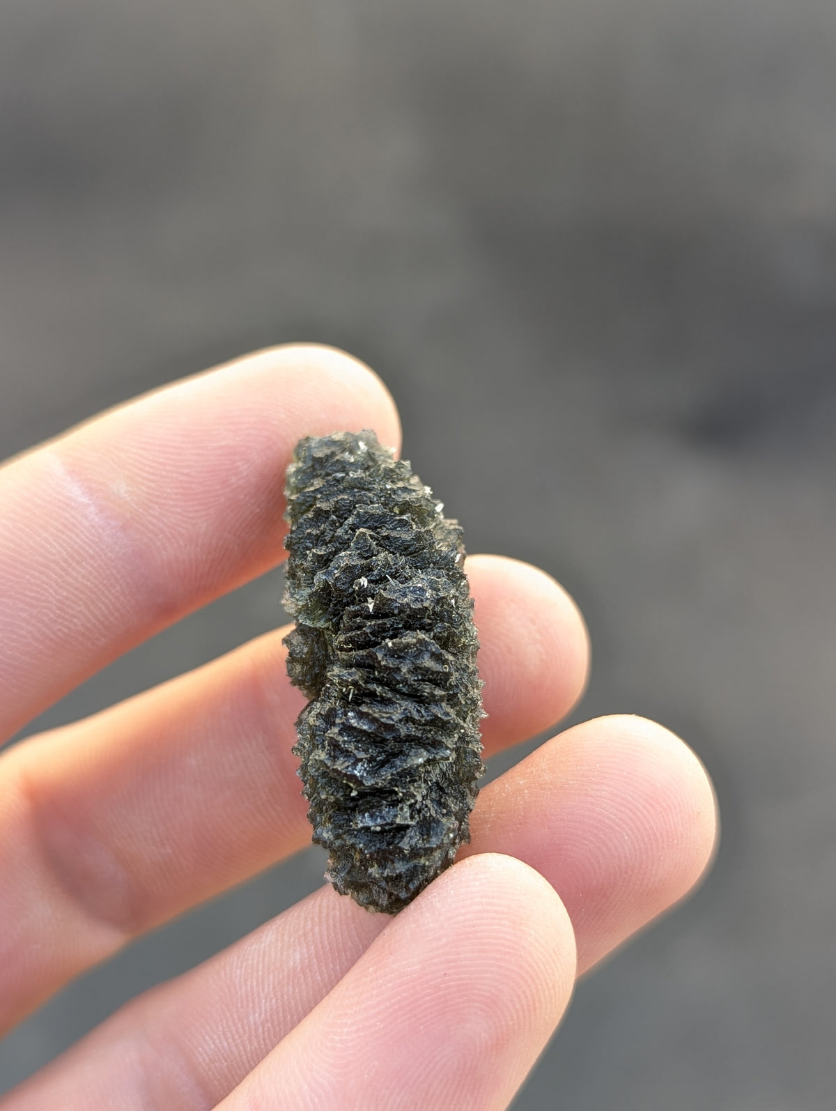 Bohemian Moldavite – Dobrkovská Lhotka | 14.46 g | Drop-Shaped Collector Specimen with Lechatelierite