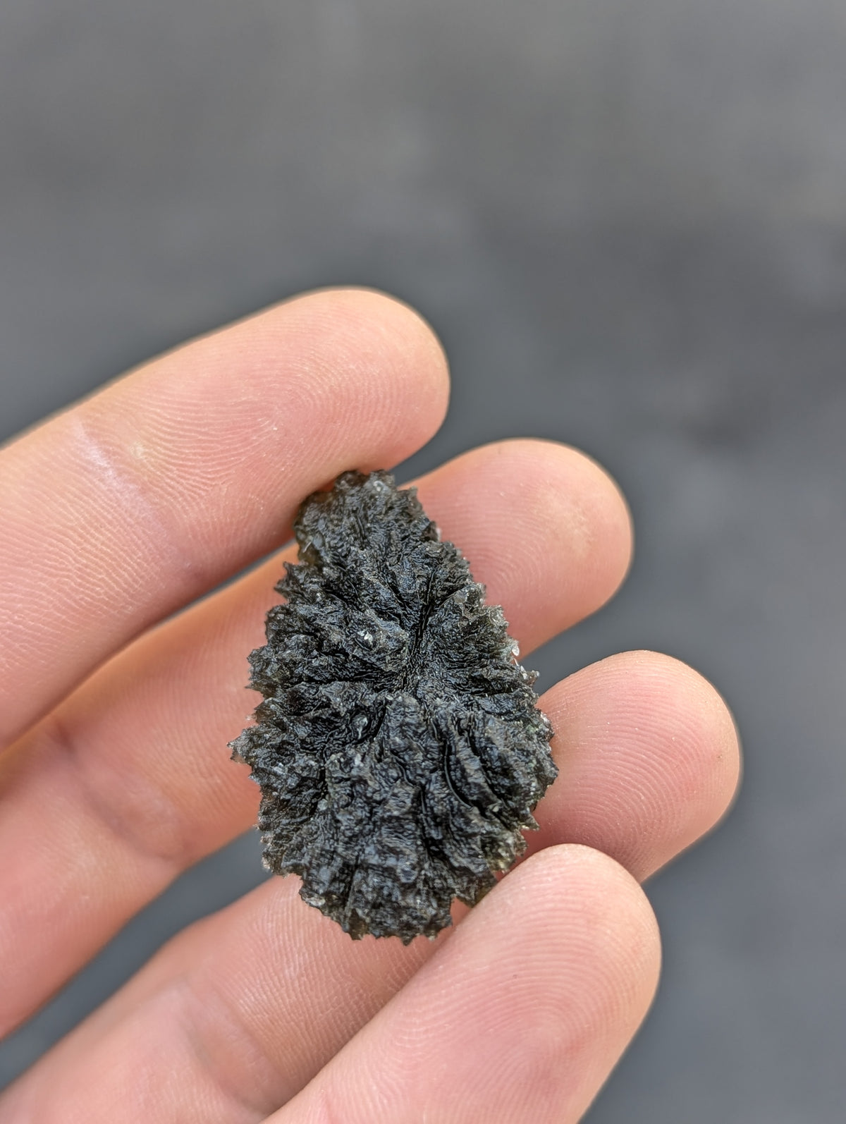 Bohemian Moldavite – Dobrkovská Lhotka | 14.46 g | Drop-Shaped Collector Specimen with Lechatelierite