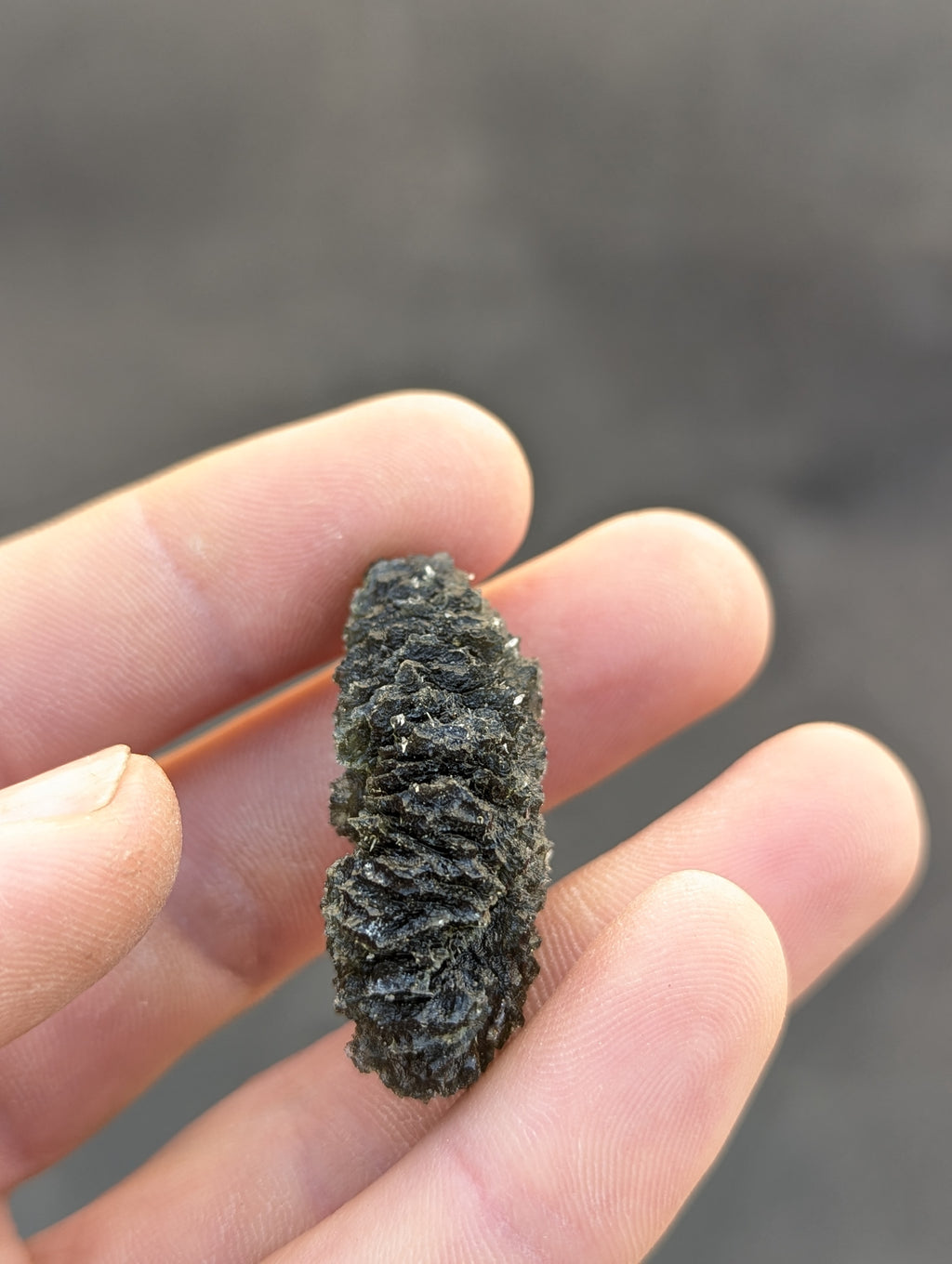 Bohemian Moldavite – Dobrkovská Lhotka | 14.46 g | Drop-Shaped Collector Specimen with Lechatelierite