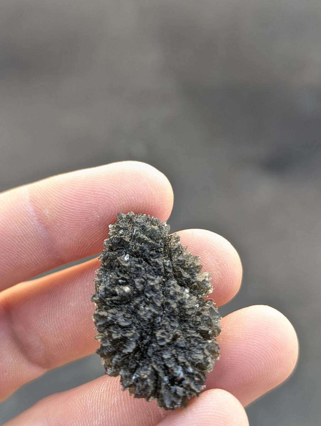 Bohemian Moldavite – Dobrkovská Lhotka | 14.46 g | Drop-Shaped Collector Specimen with Lechatelierite