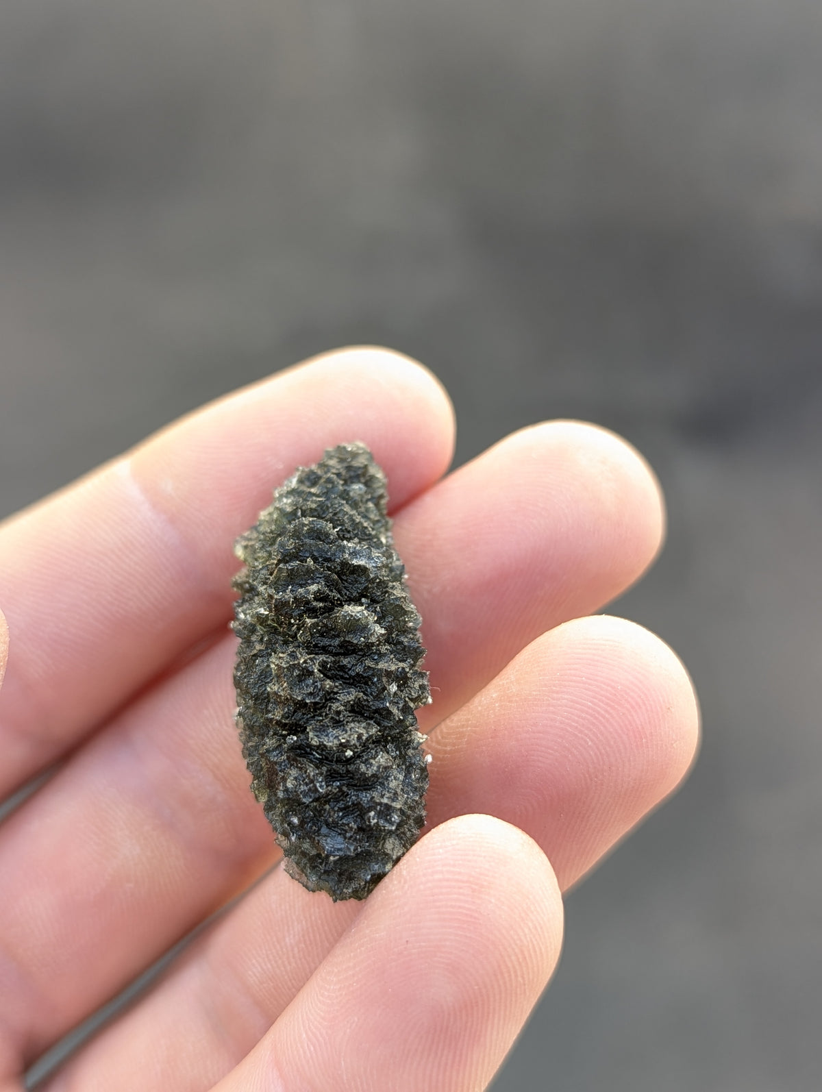 Bohemian Moldavite – Dobrkovská Lhotka | 14.46 g | Drop-Shaped Collector Specimen with Lechatelierite